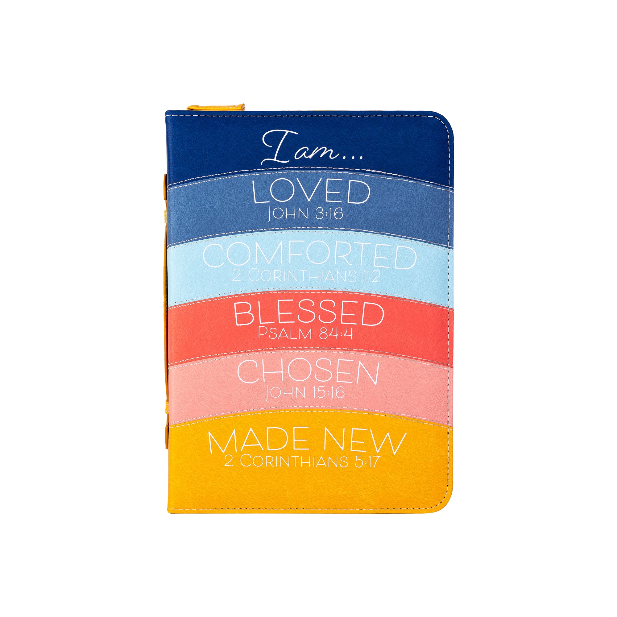 Divine Details: Bible Cover - Modern Rainbow