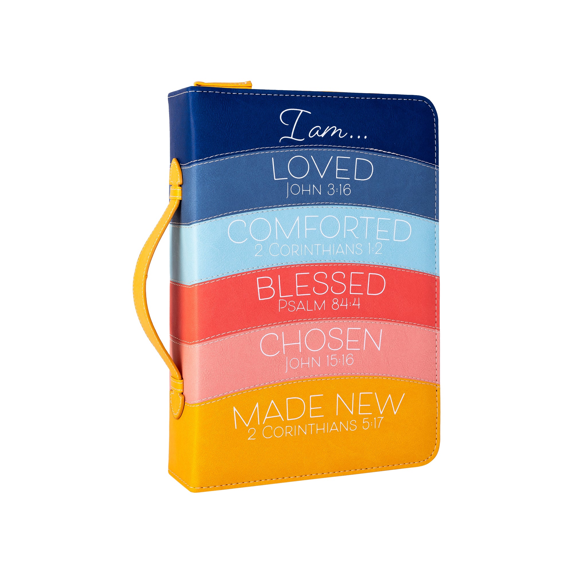 Divine Details: Bible Cover - Modern Rainbow