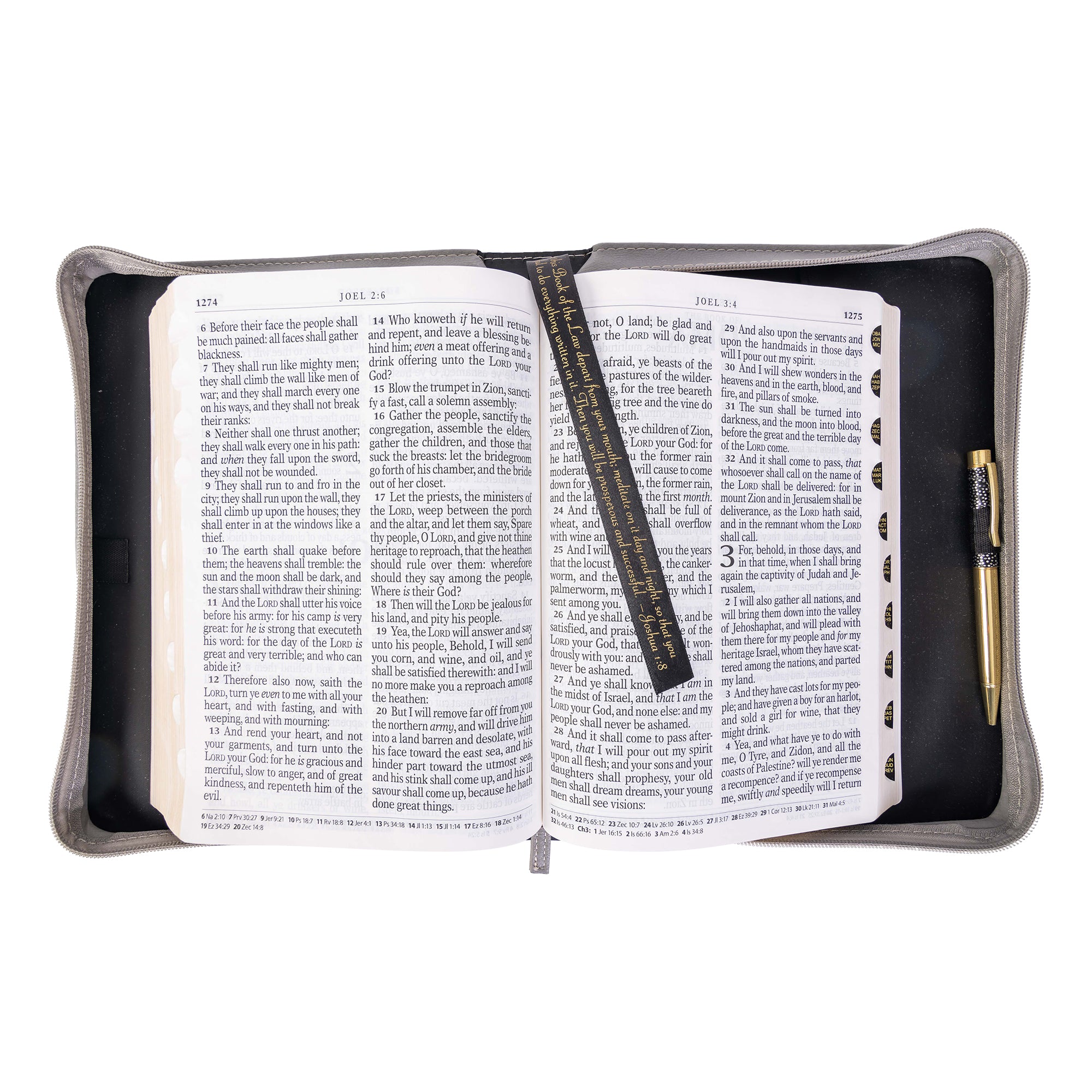 Divine Details: Bible Cover - Leopard w/Metallic Gold Renew