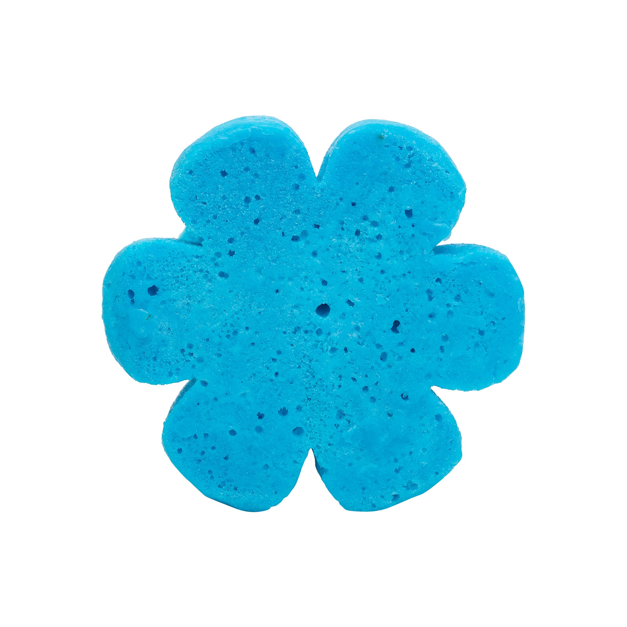 Soap Spongie-Display