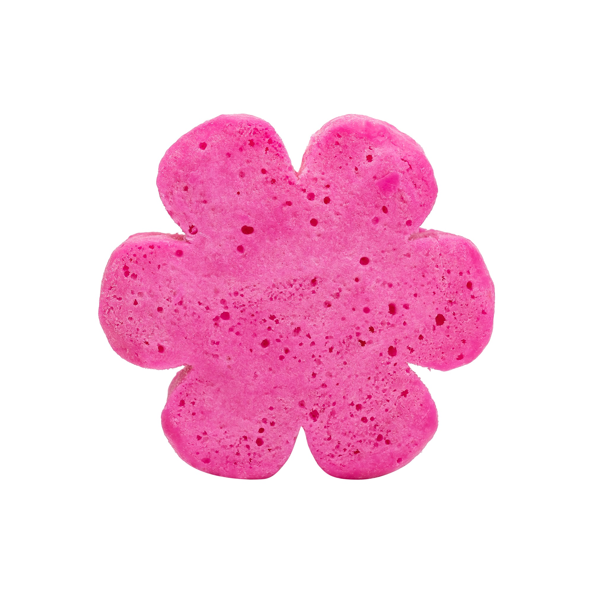 Soap Spongie-Display