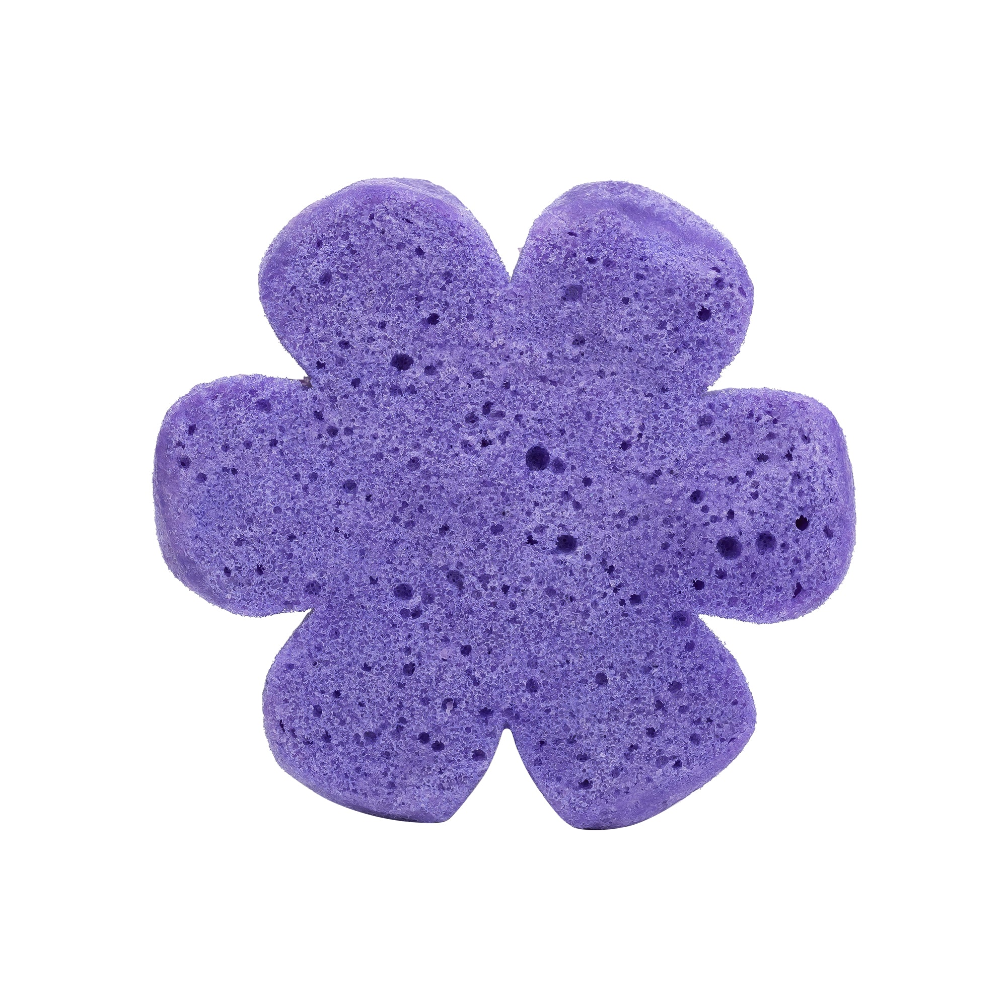 Soap Spongie-Display