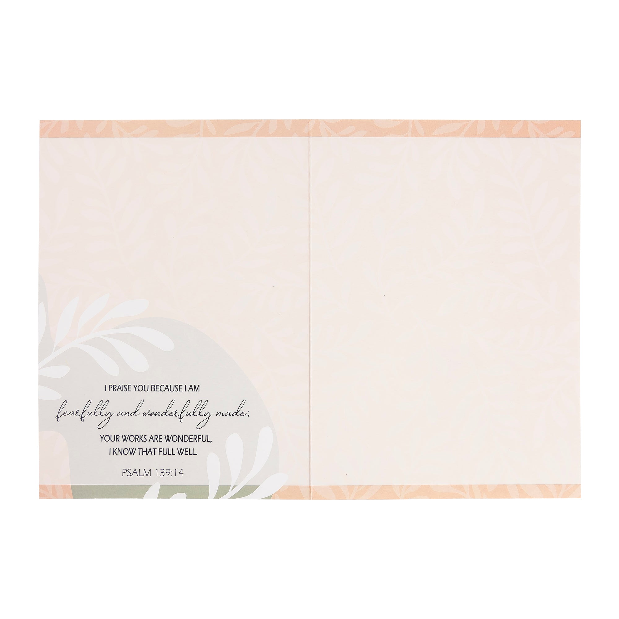 Boxed Cards: 12CT Everyday Inspiration - God Says