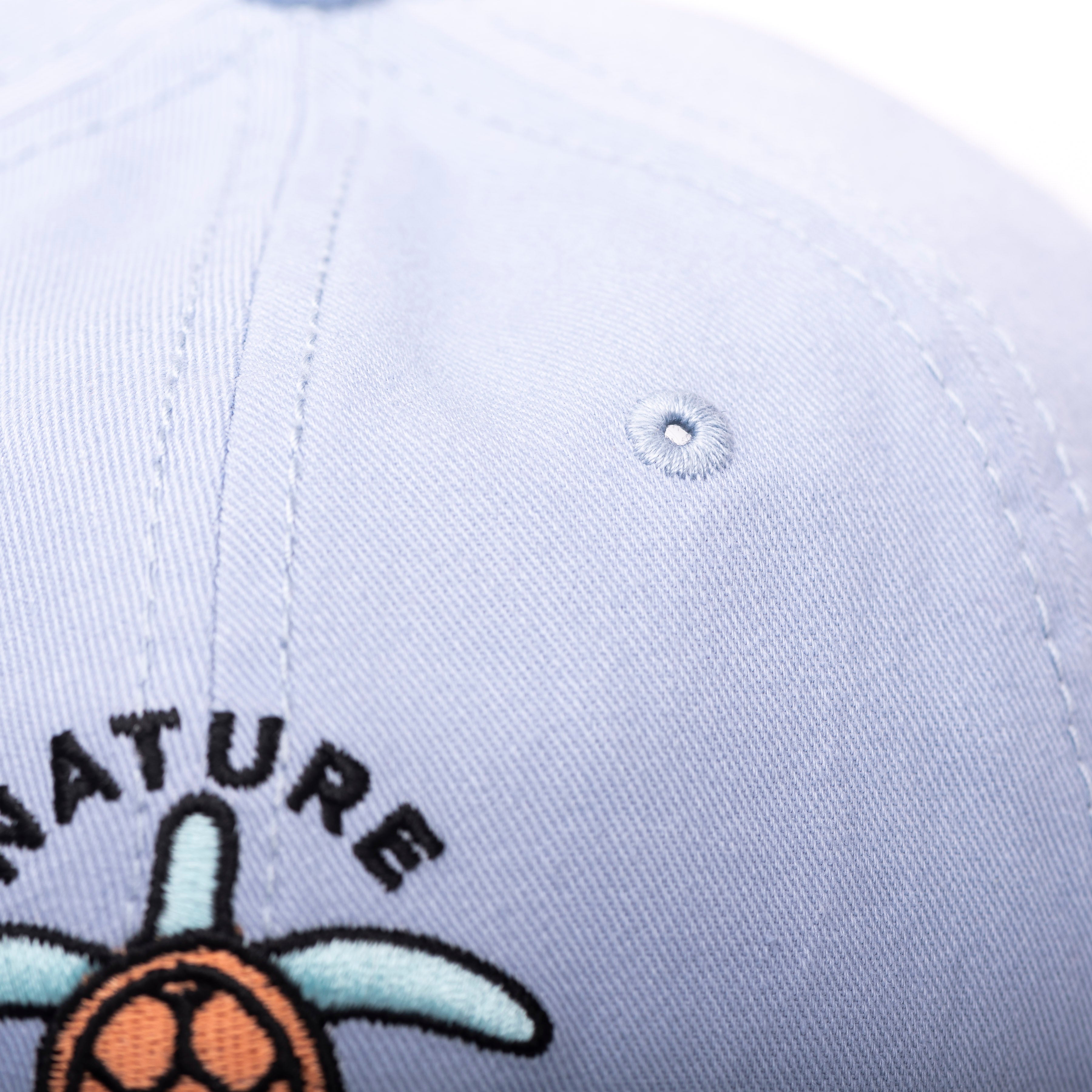 Wild Turtle Dad Hat | Slate