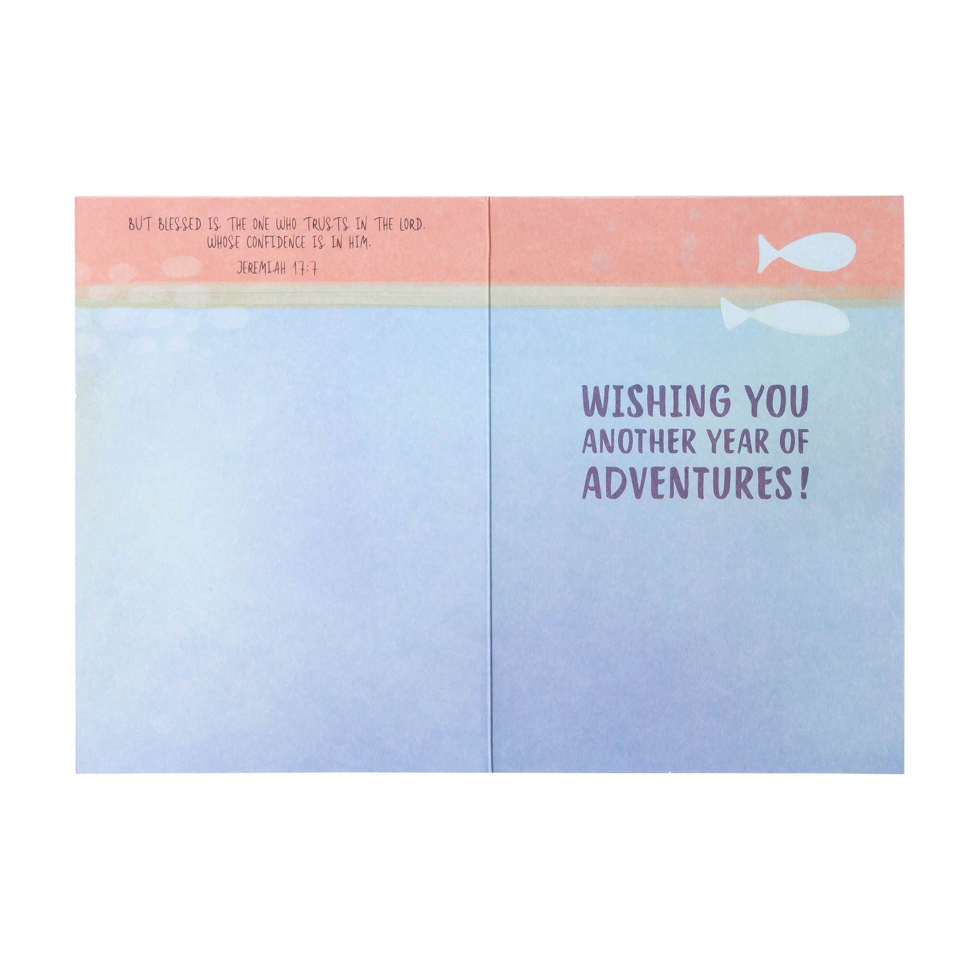 Boxed Greeting Cards: 12CT Birthday for Him - The Outdoors