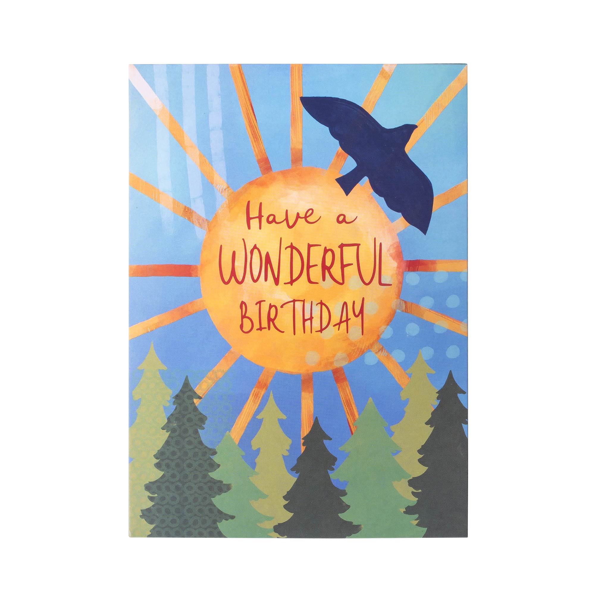 Boxed Greeting Cards: 12CT Birthday for Him - The Outdoors