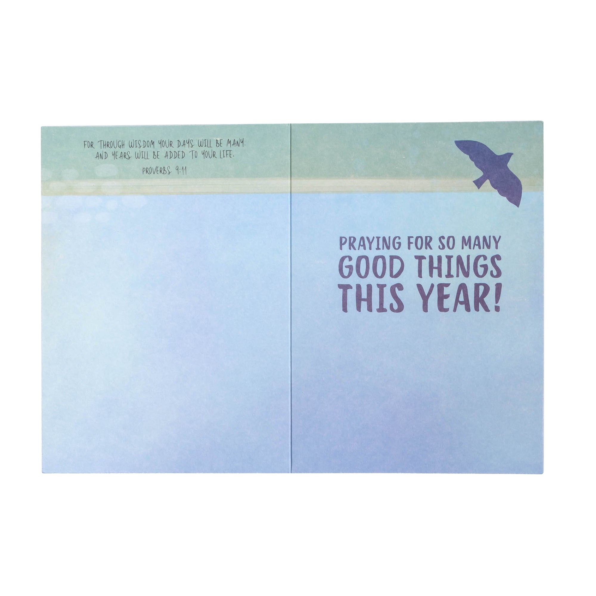 Boxed Greeting Cards: 12CT Birthday for Him - The Outdoors