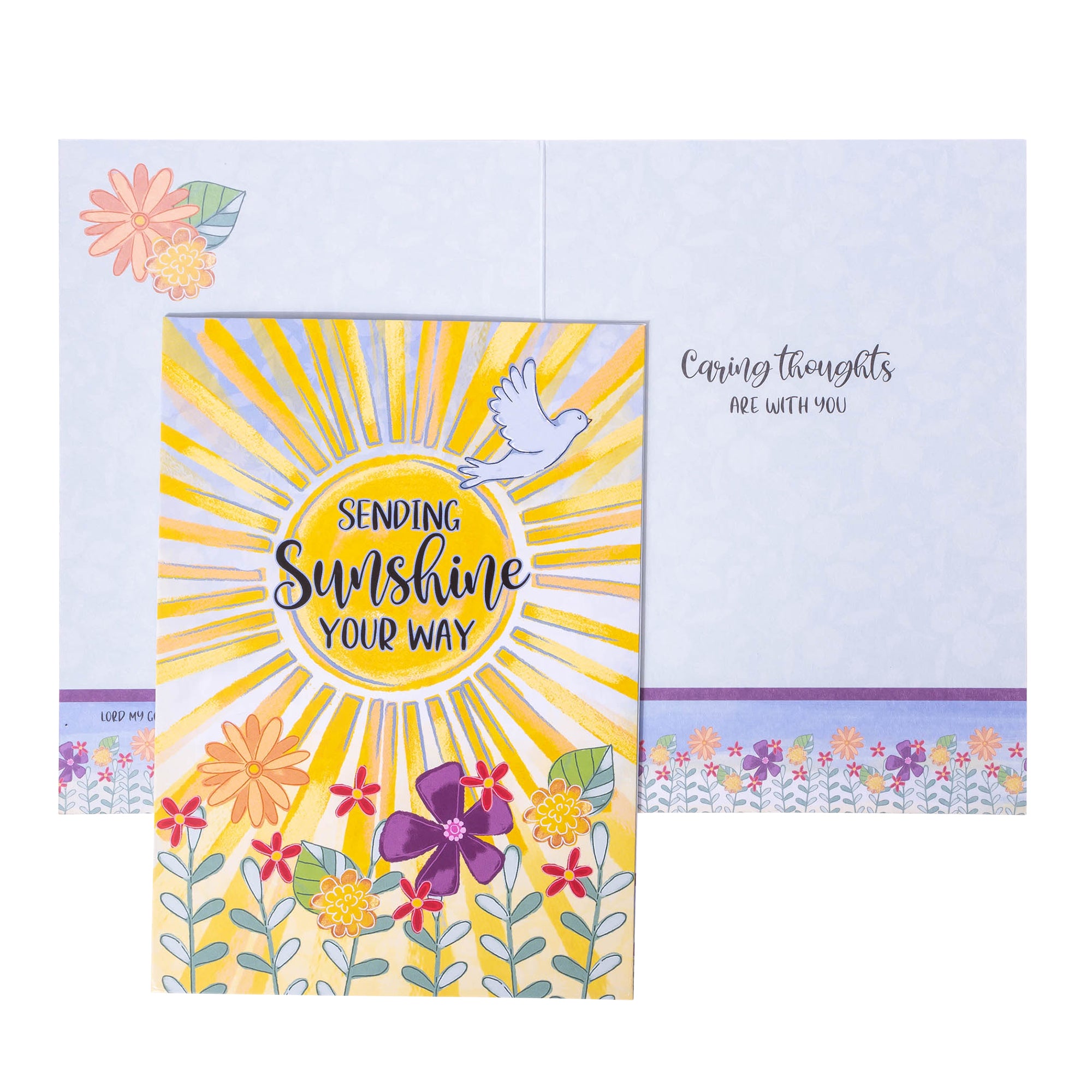 Boxed Greeting Cards: 12CT Get Well - Sunshine and Flowers