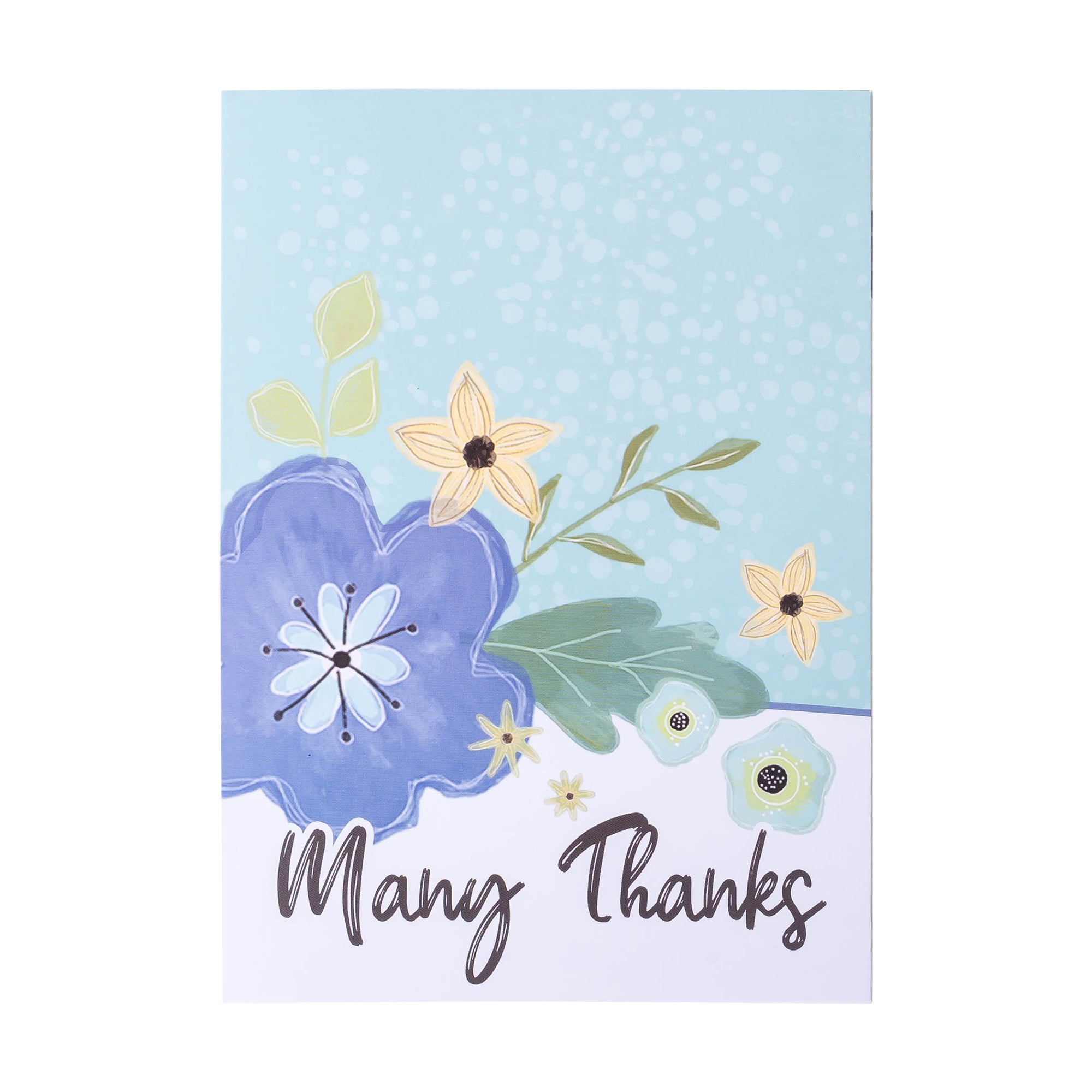 Boxed Greeting Cards: 12CT Thank You - Blue and Teal Floral