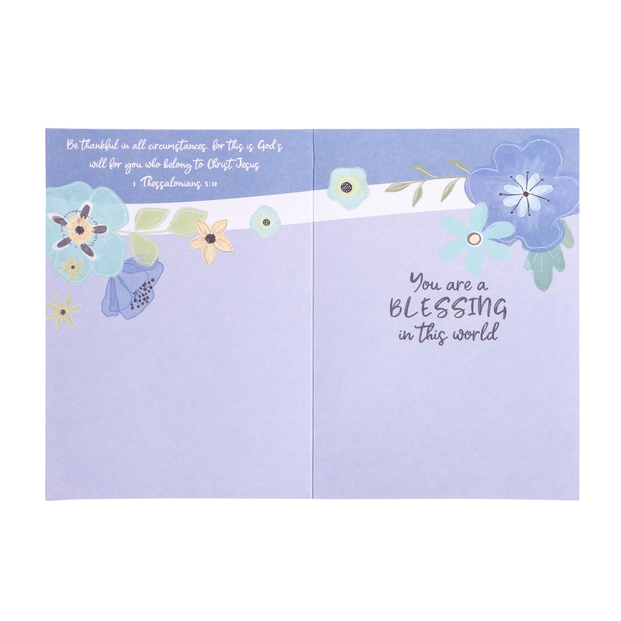 Boxed Greeting Cards: 12CT Thank You - Blue and Teal Floral