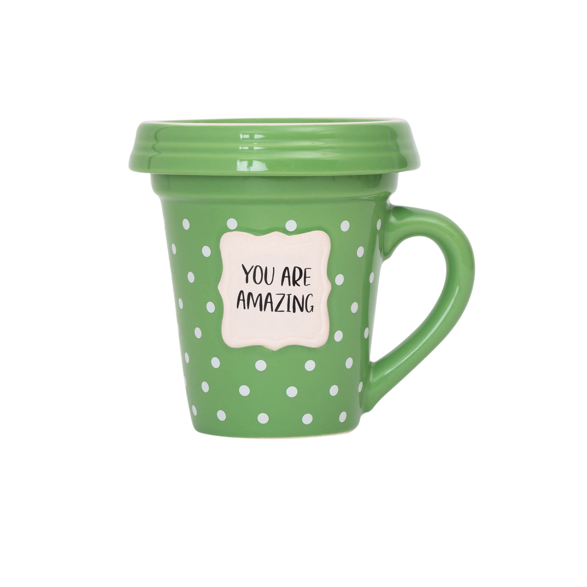 Flower Pot Mug: You Are Amazing