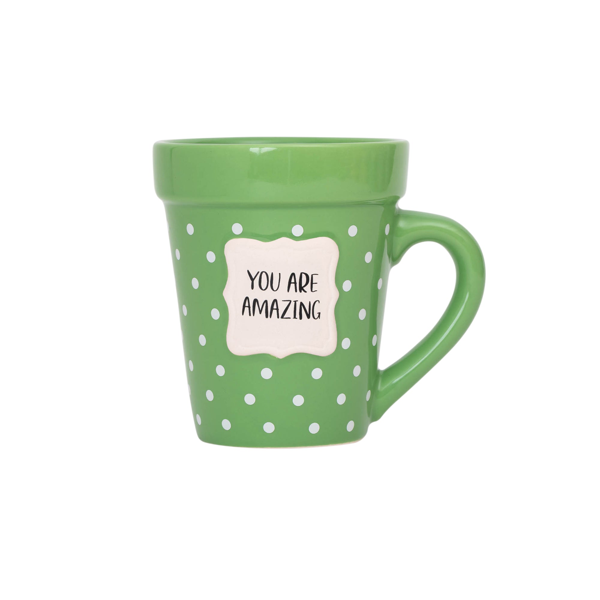 Flower Pot Mug: You Are Amazing