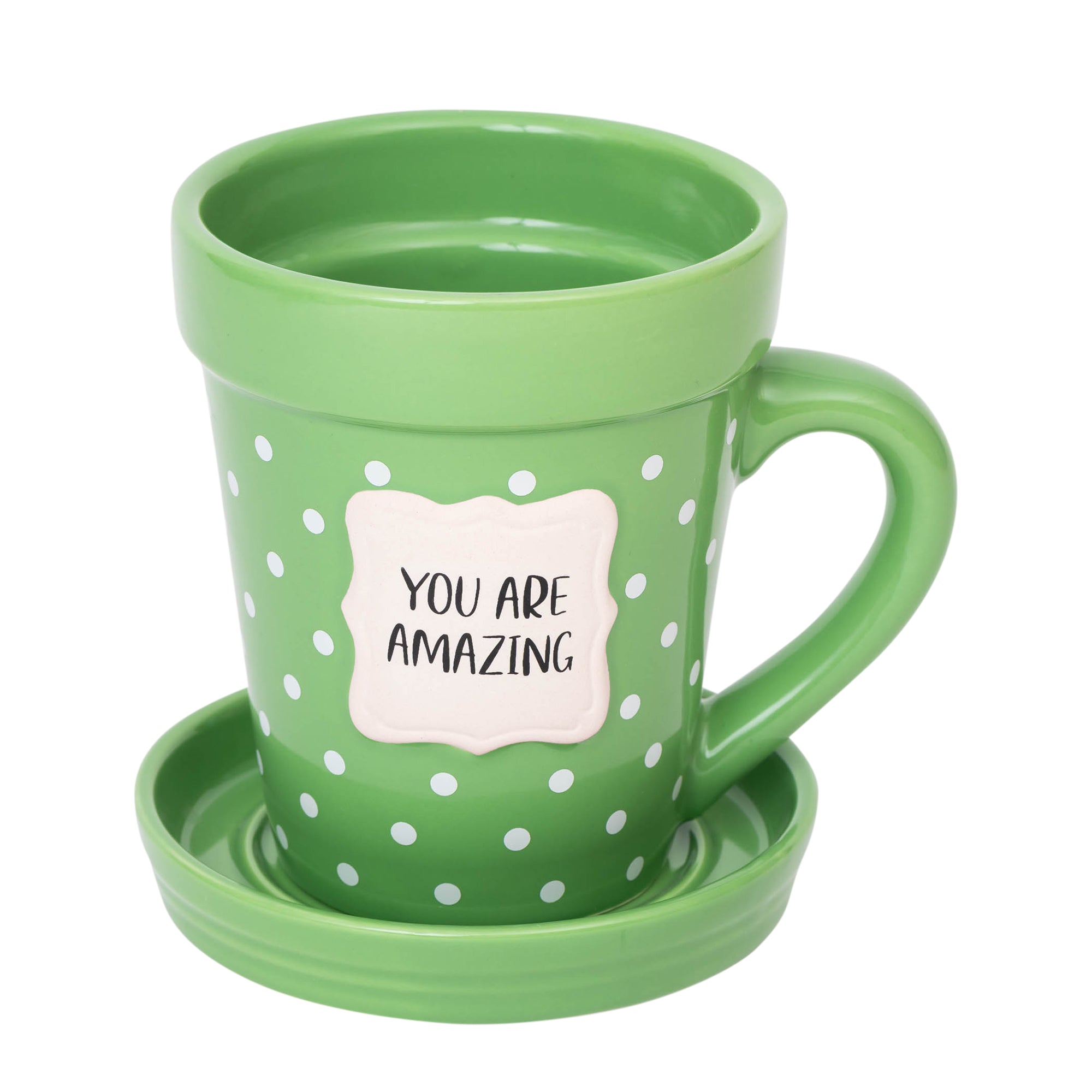 Flower Pot Mug: You Are Amazing