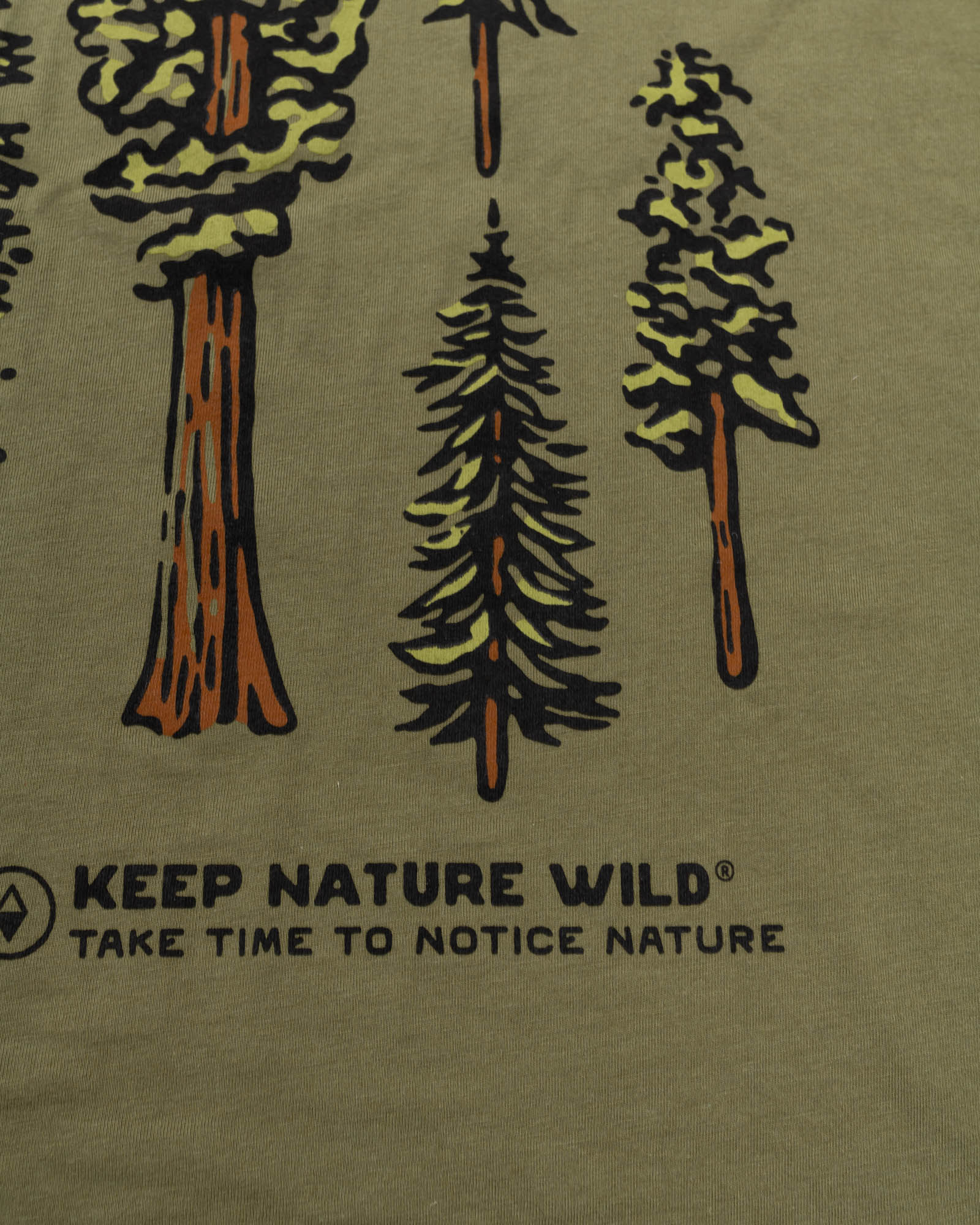 Nature Study Conifers Unisex Long Sleeve | Olive