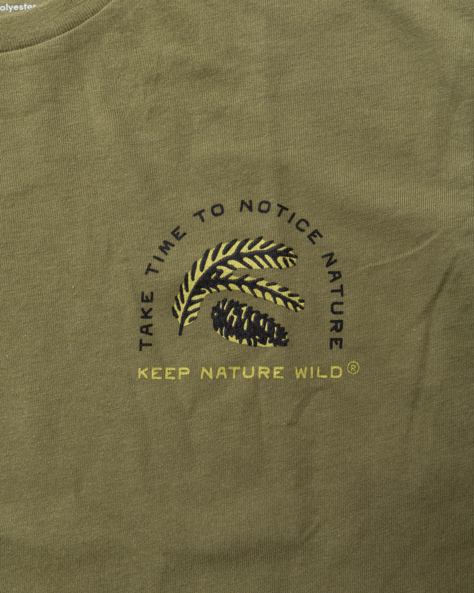 Nature Study Conifers Unisex Long Sleeve | Olive