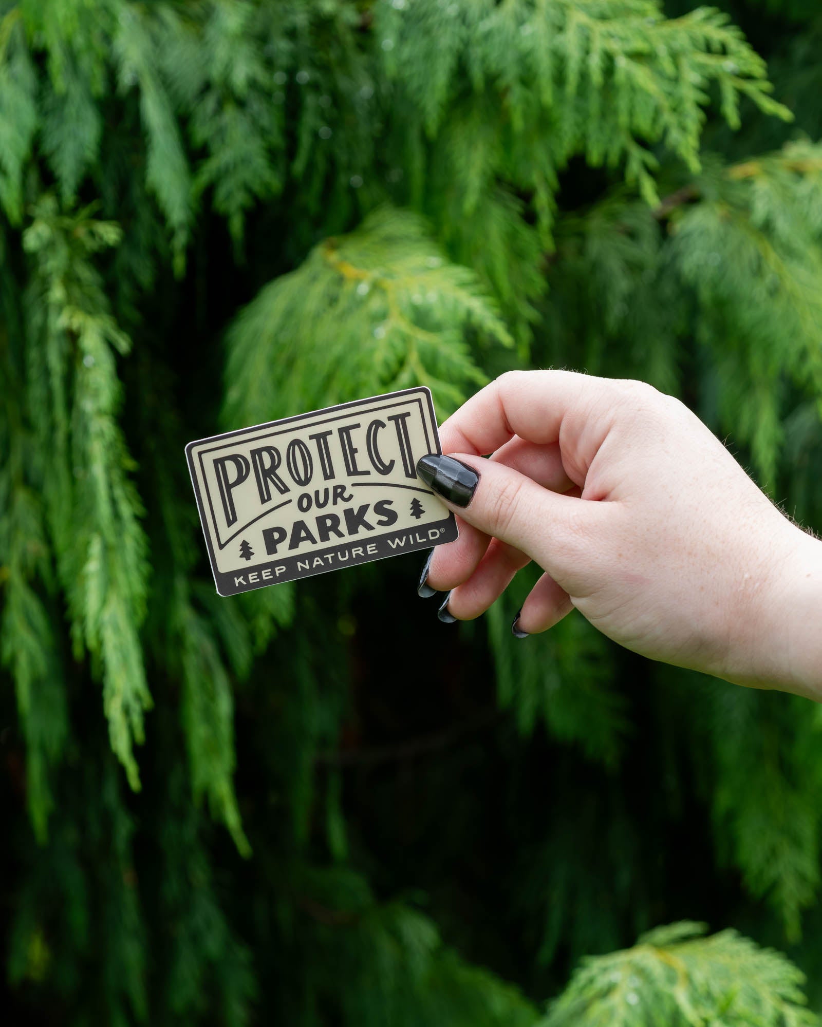 Protect Our Parks | Sticker