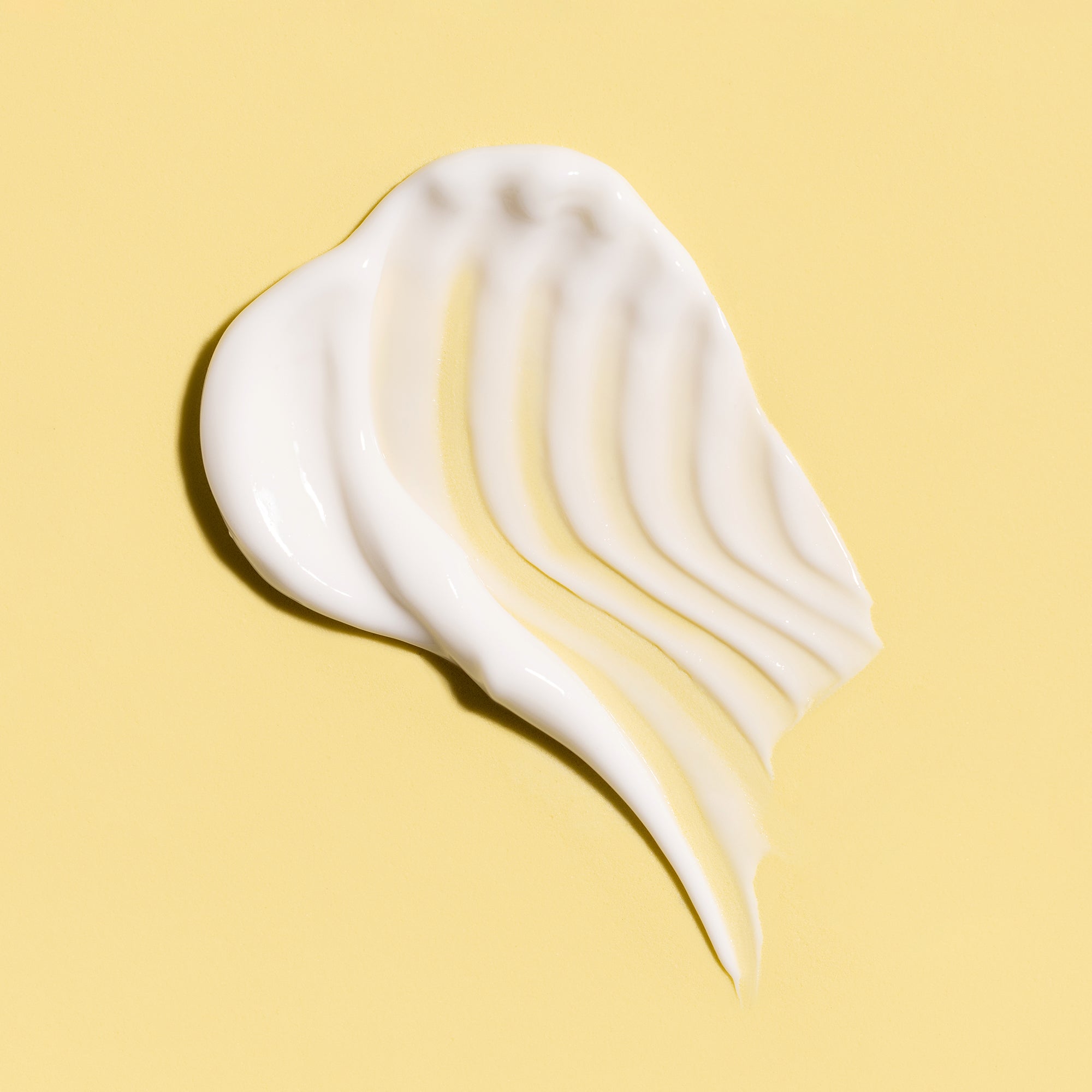 Eucalyptus + Aloe Shea Butter Body Cream 16 oz