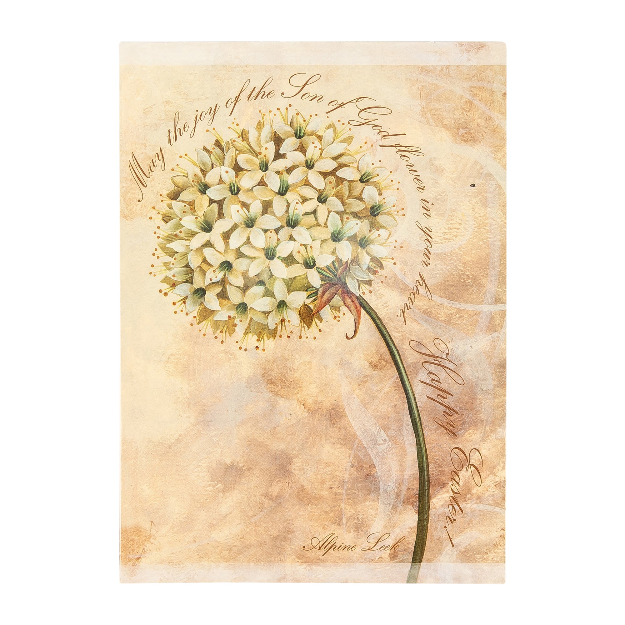 Boxed Cards: Easter, Flowers