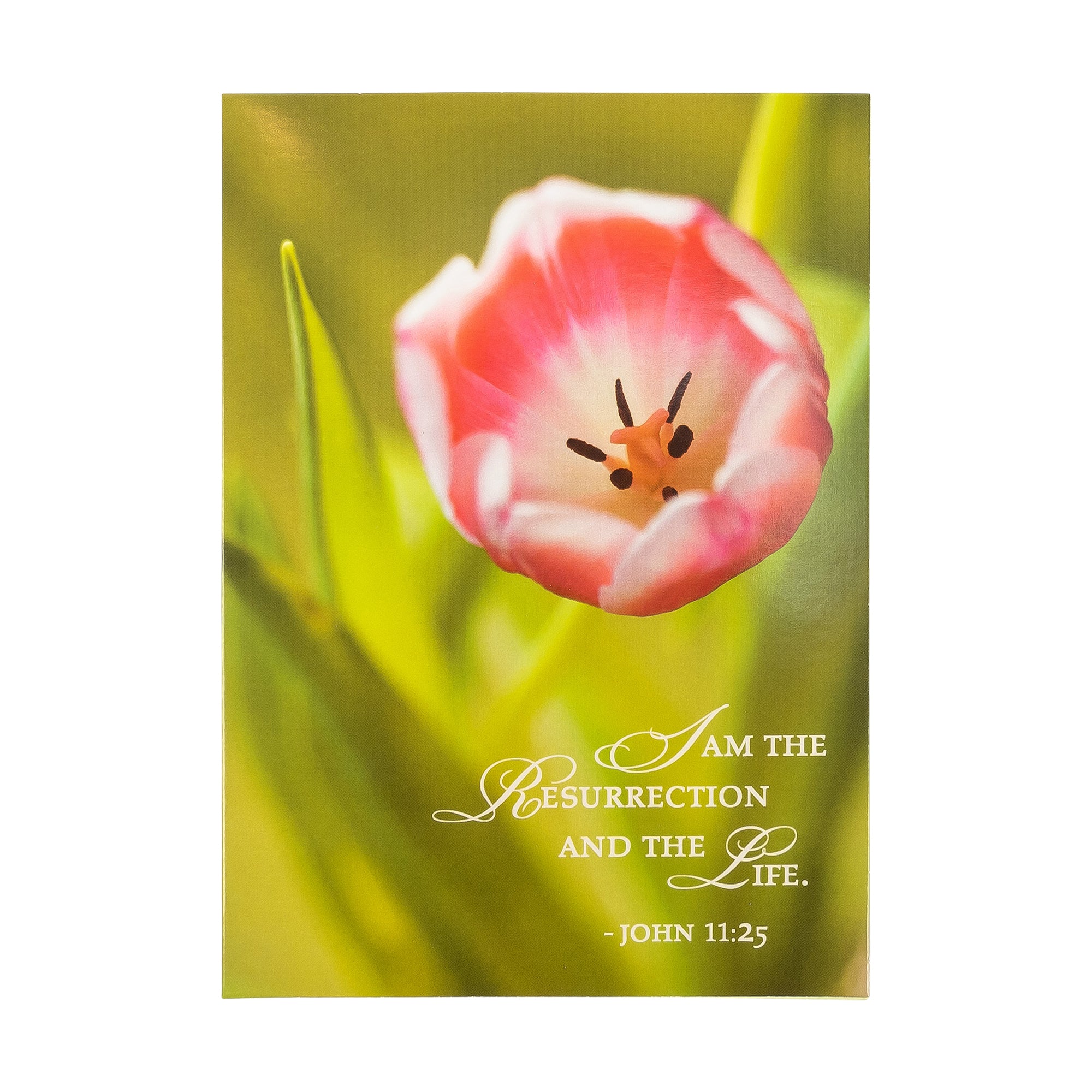 Boxed Cards: Easter, Spring Flowers