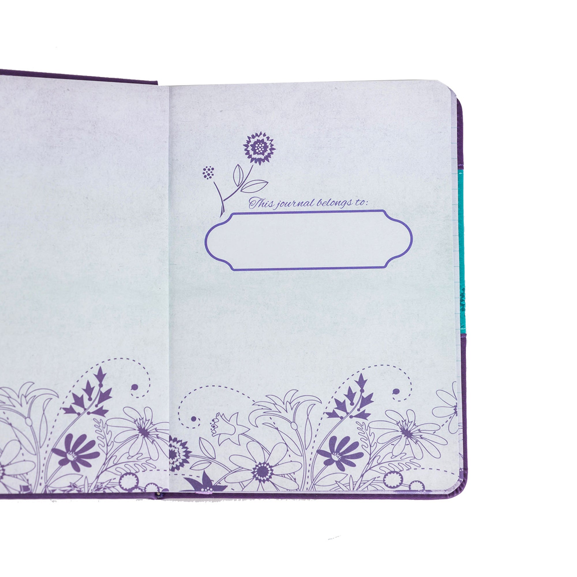 Divine Details Journal : God Saw