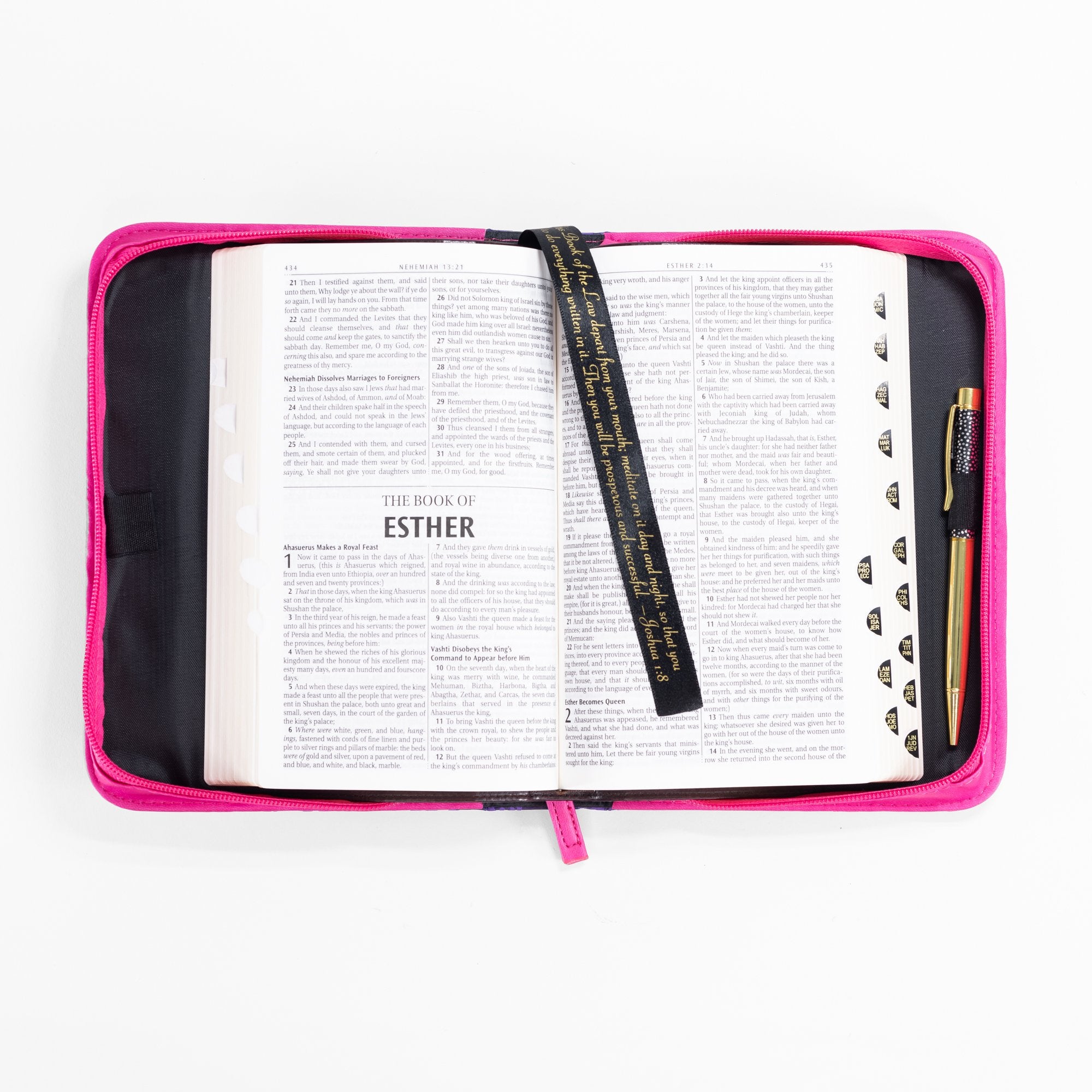 Bible Cover: Delight Yourself