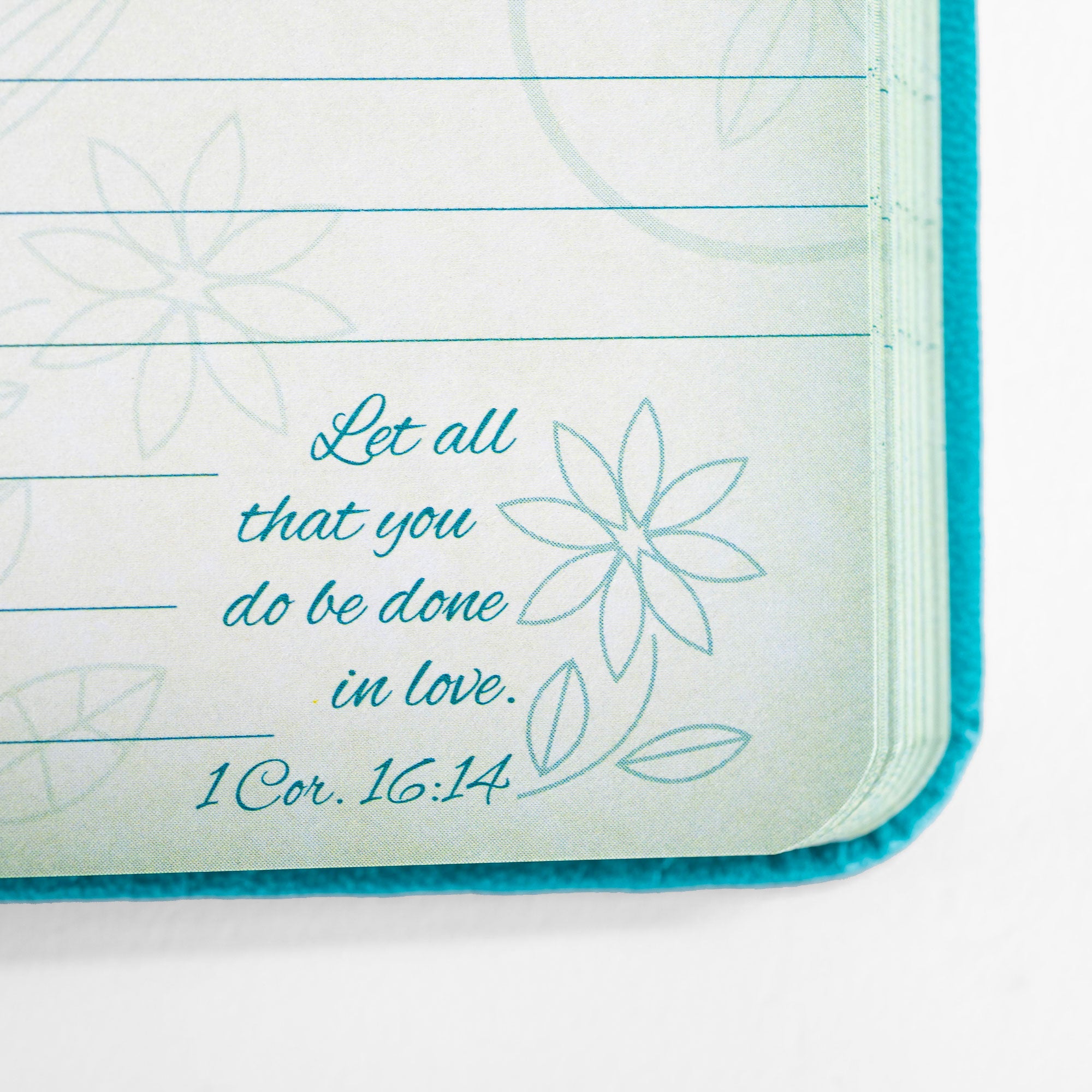 Divine Details Journal : A Woman Who Fears