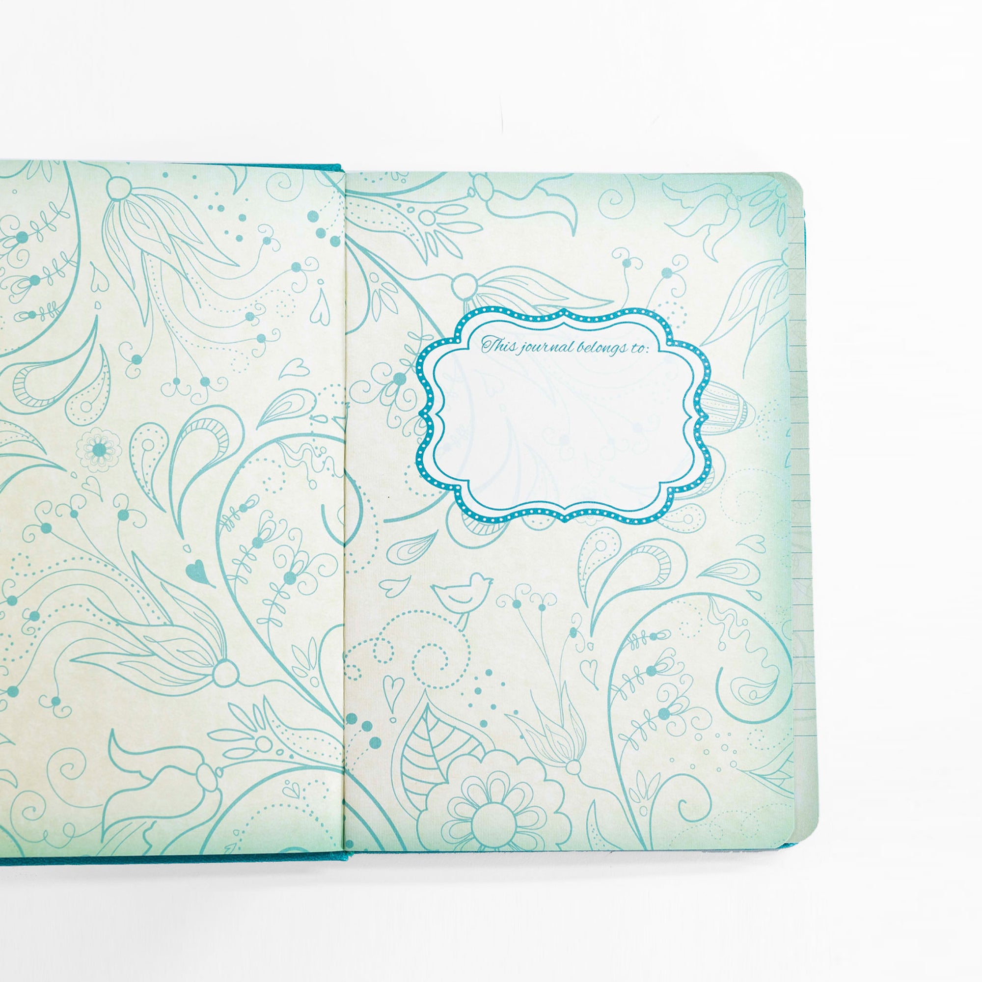 Divine Details Journal : A Woman Who Fears