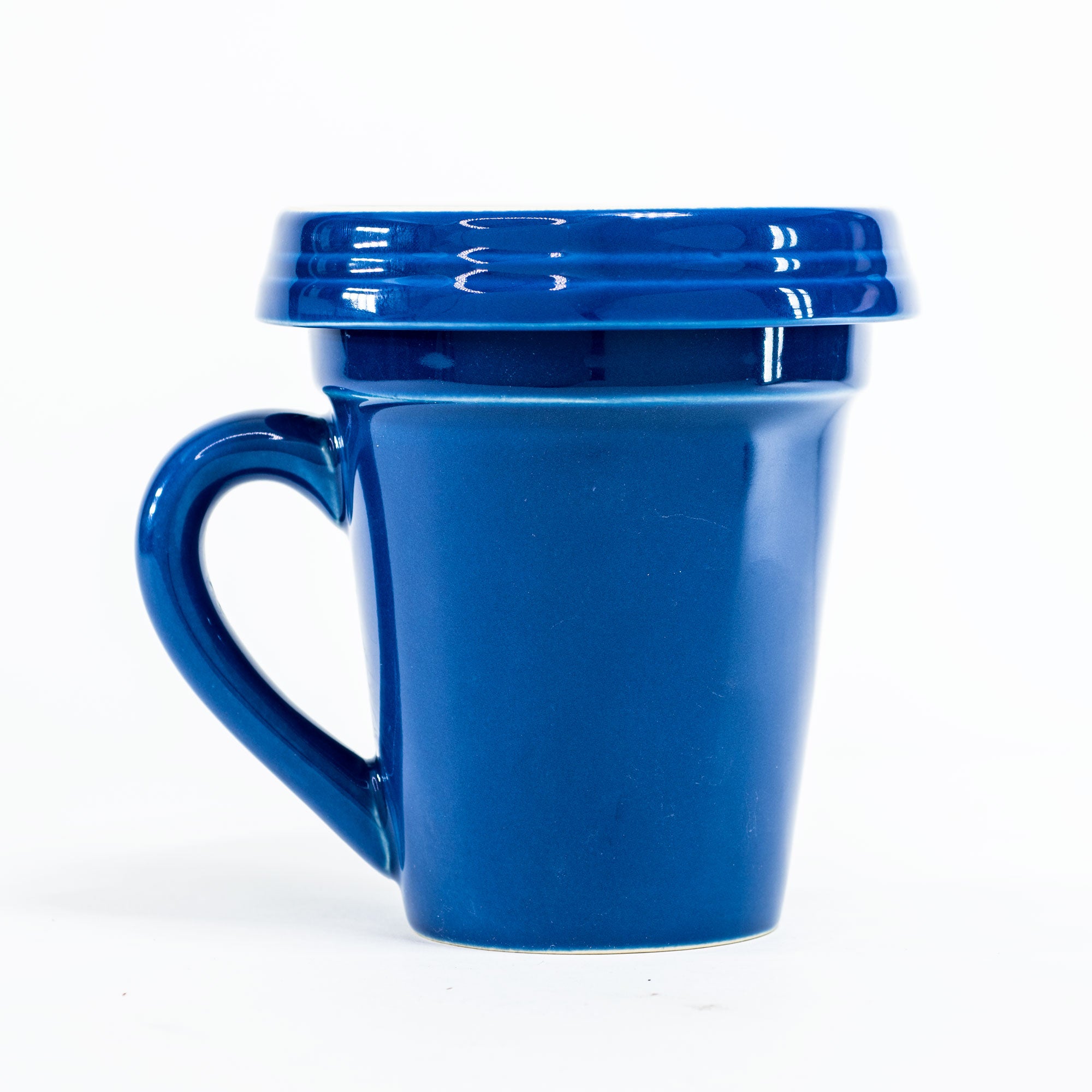 Blue Flower Pot Mug: - Nurse