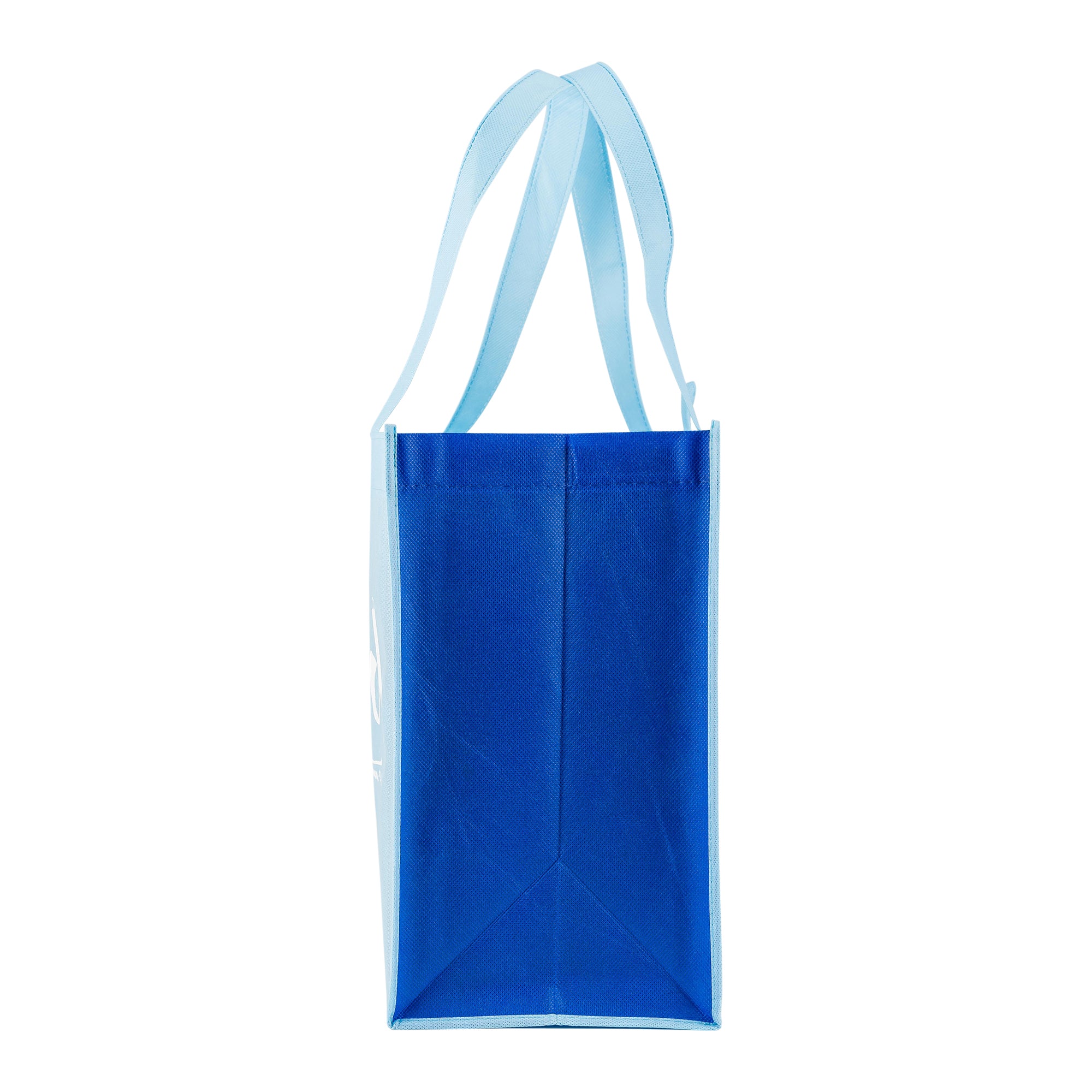 Eco Tote: Light Blue: Blessed