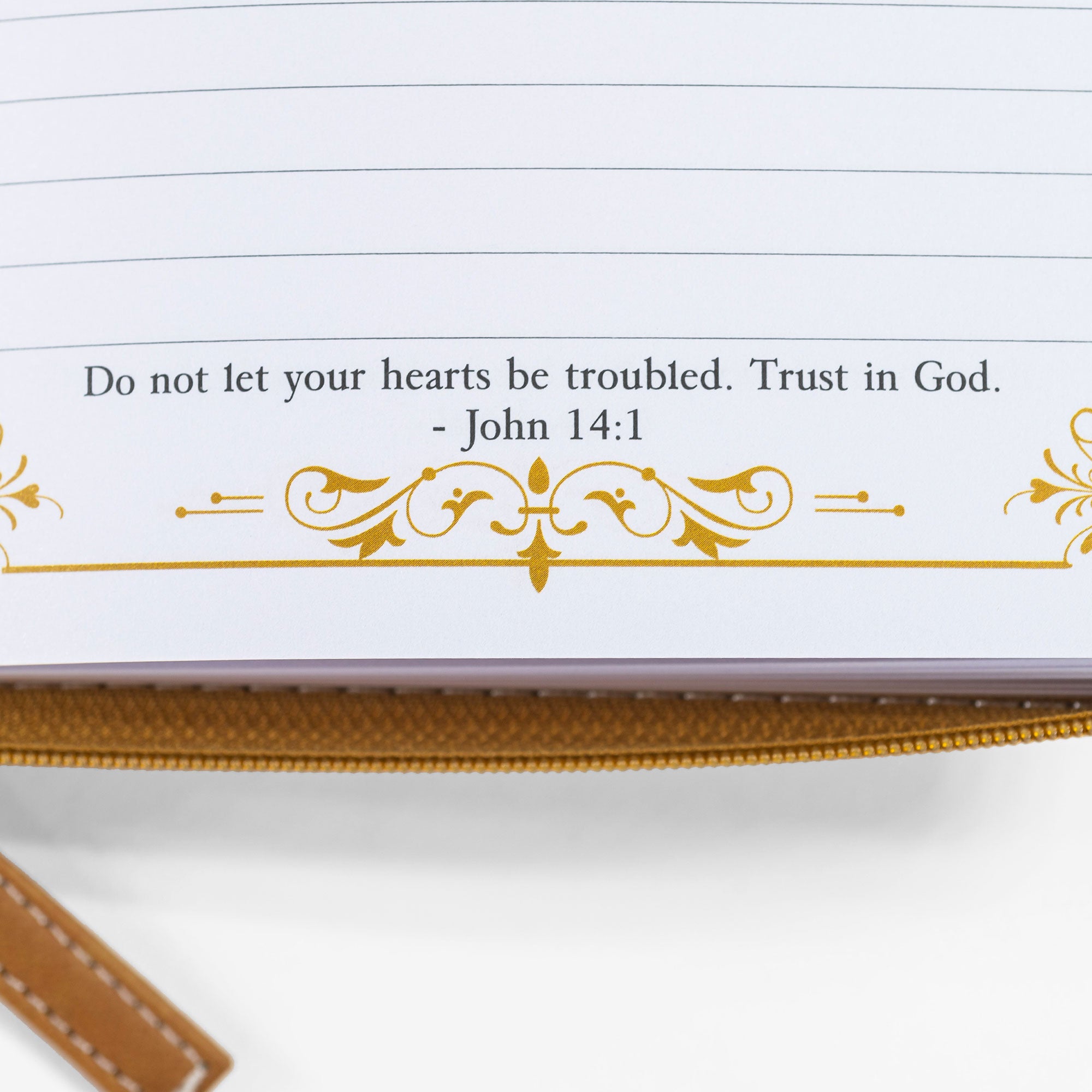 Divine Details: Journal Brown And Gold Deuteronomy