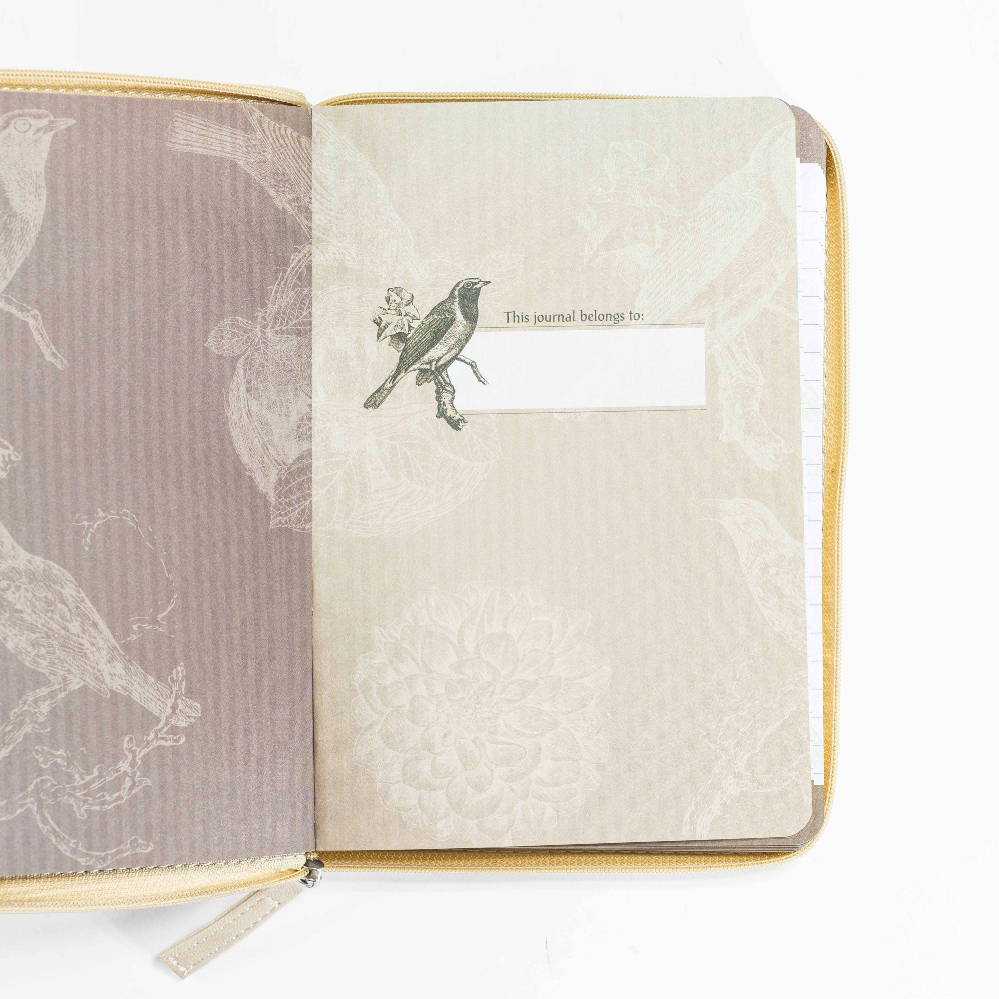 Divine Details: Journal Gold Brown Psalm 91:4