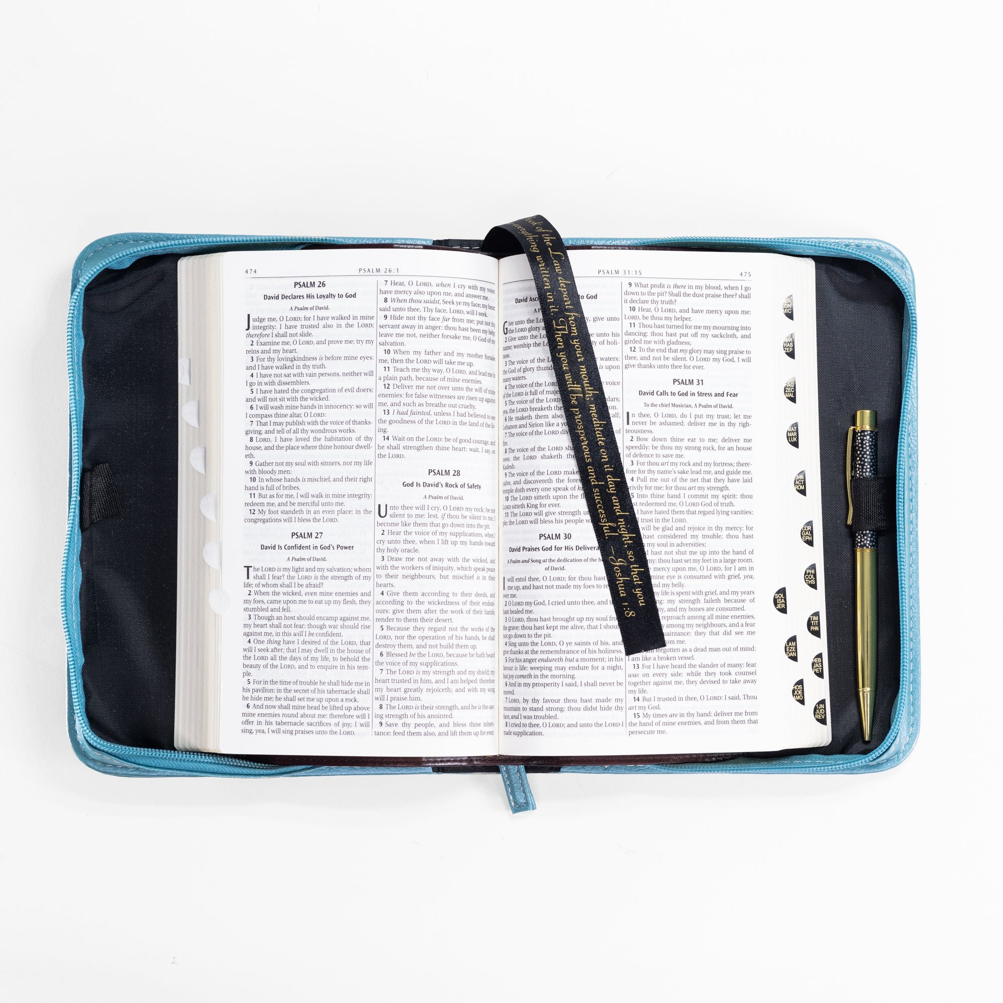 Divine Details: Bible Cover - Blue Sea Turtle He stilled the storm to a whisper - Psalm 107:29