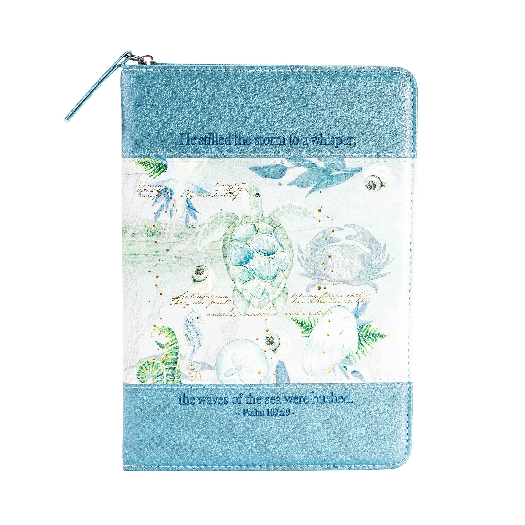 Bible Journal - Blue Turtle, Psalm 107:29
