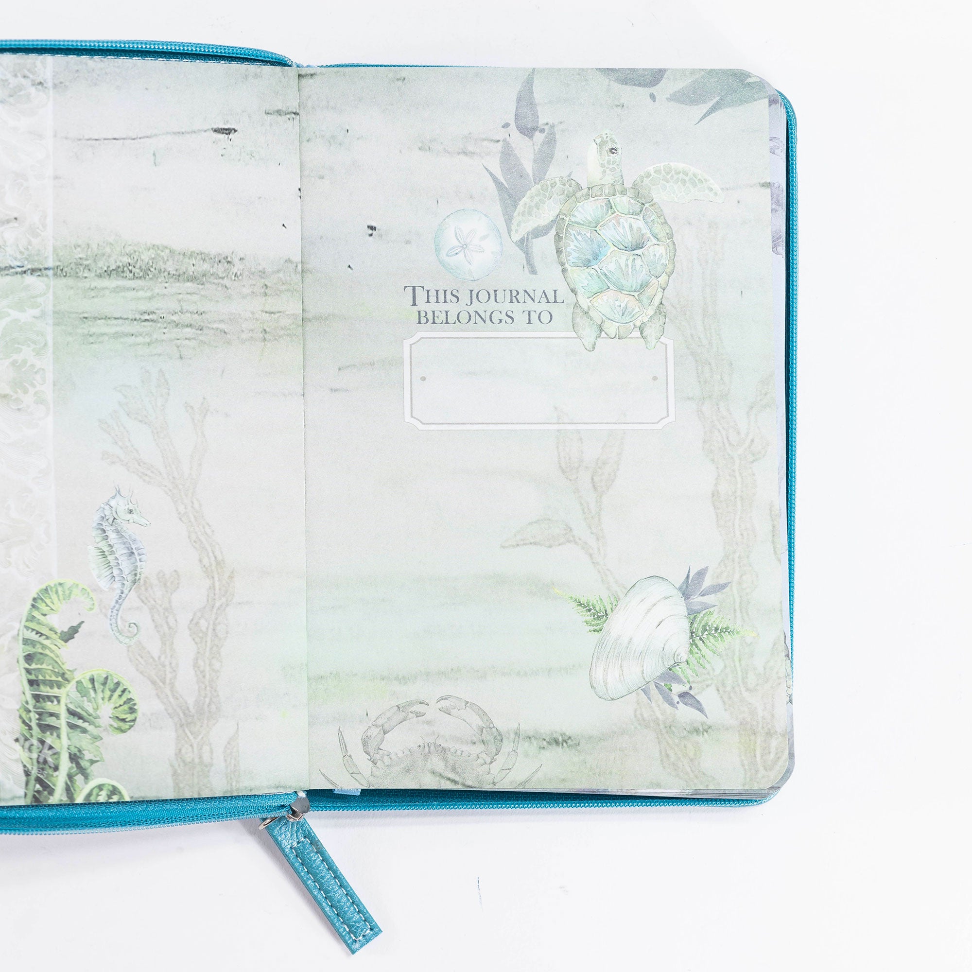 Bible Journal - Blue Turtle, Psalm 107:29