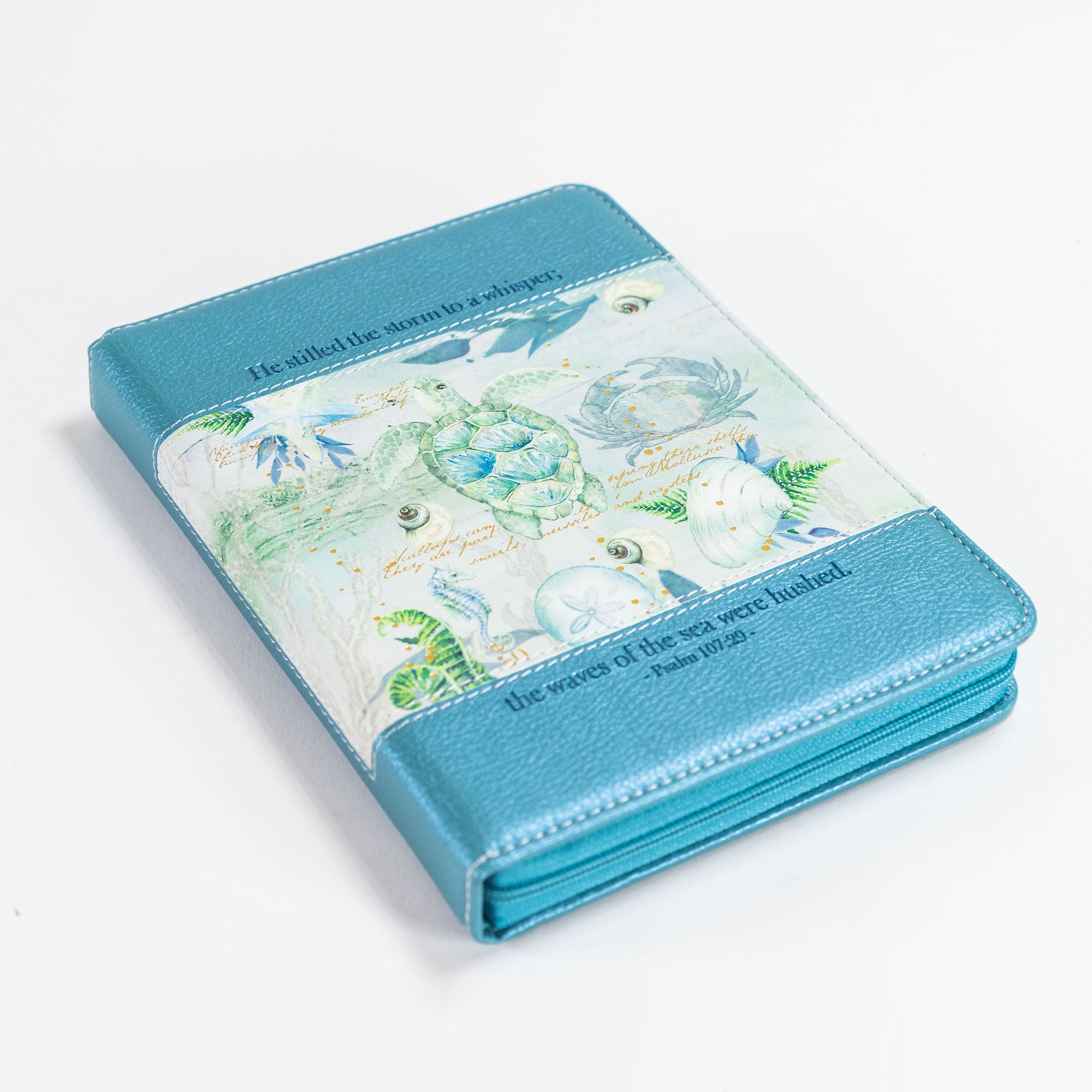 Bible Journal - Blue Turtle, Psalm 107:29