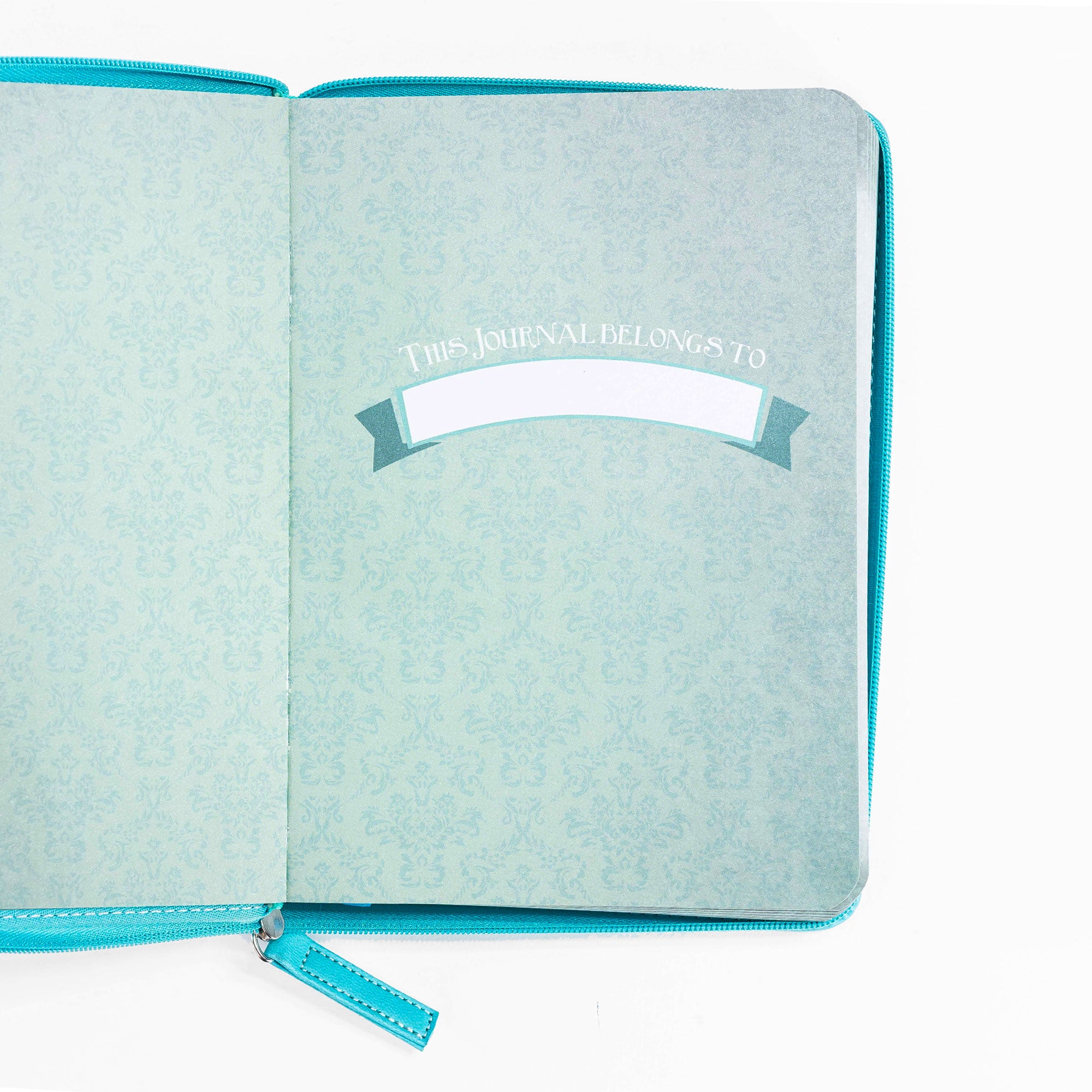 Divine Details: Zippered Journal: Teal She is Clothed in strength