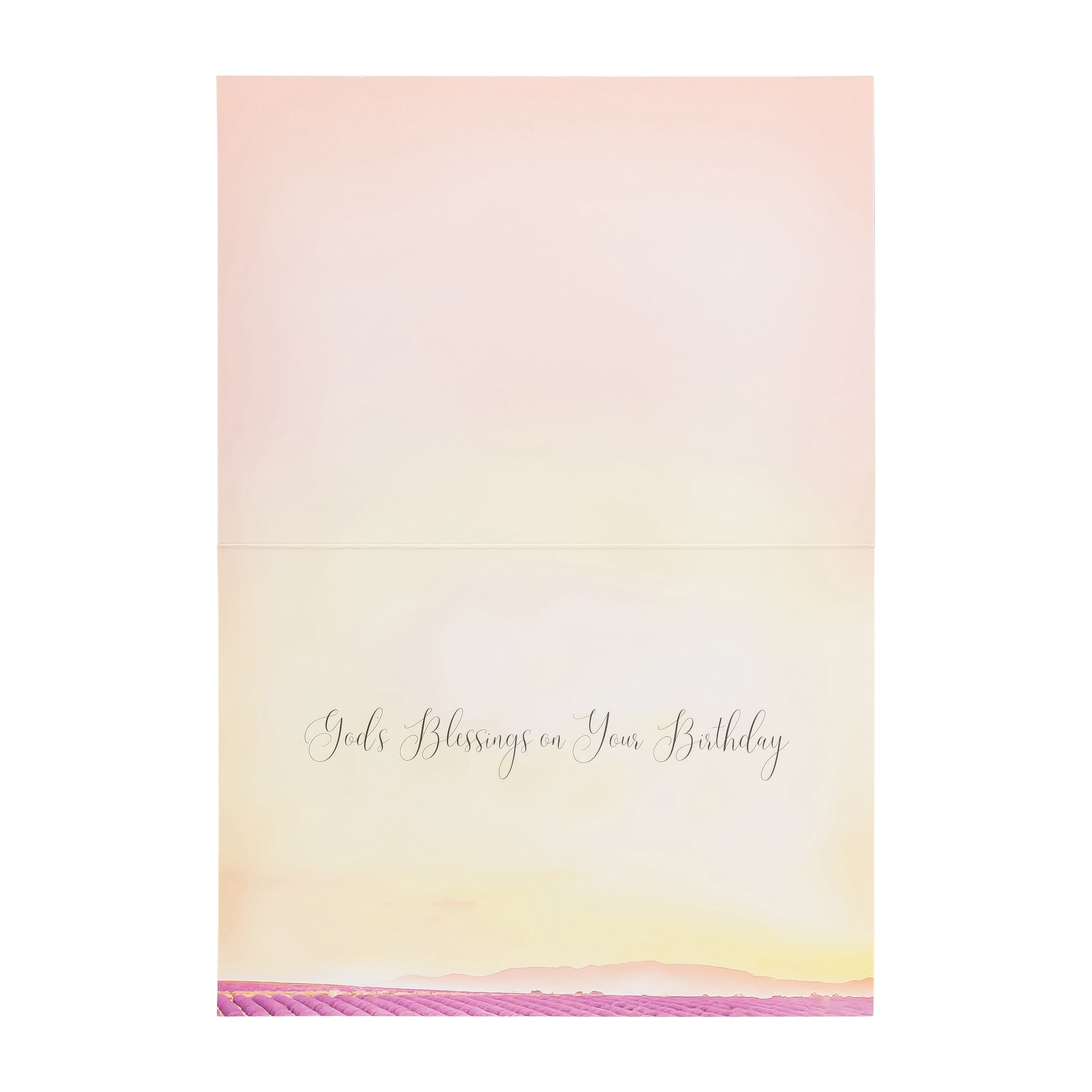 Boxed Cards: Birthday For Him, Canoe, Elk, River and Field Assortment