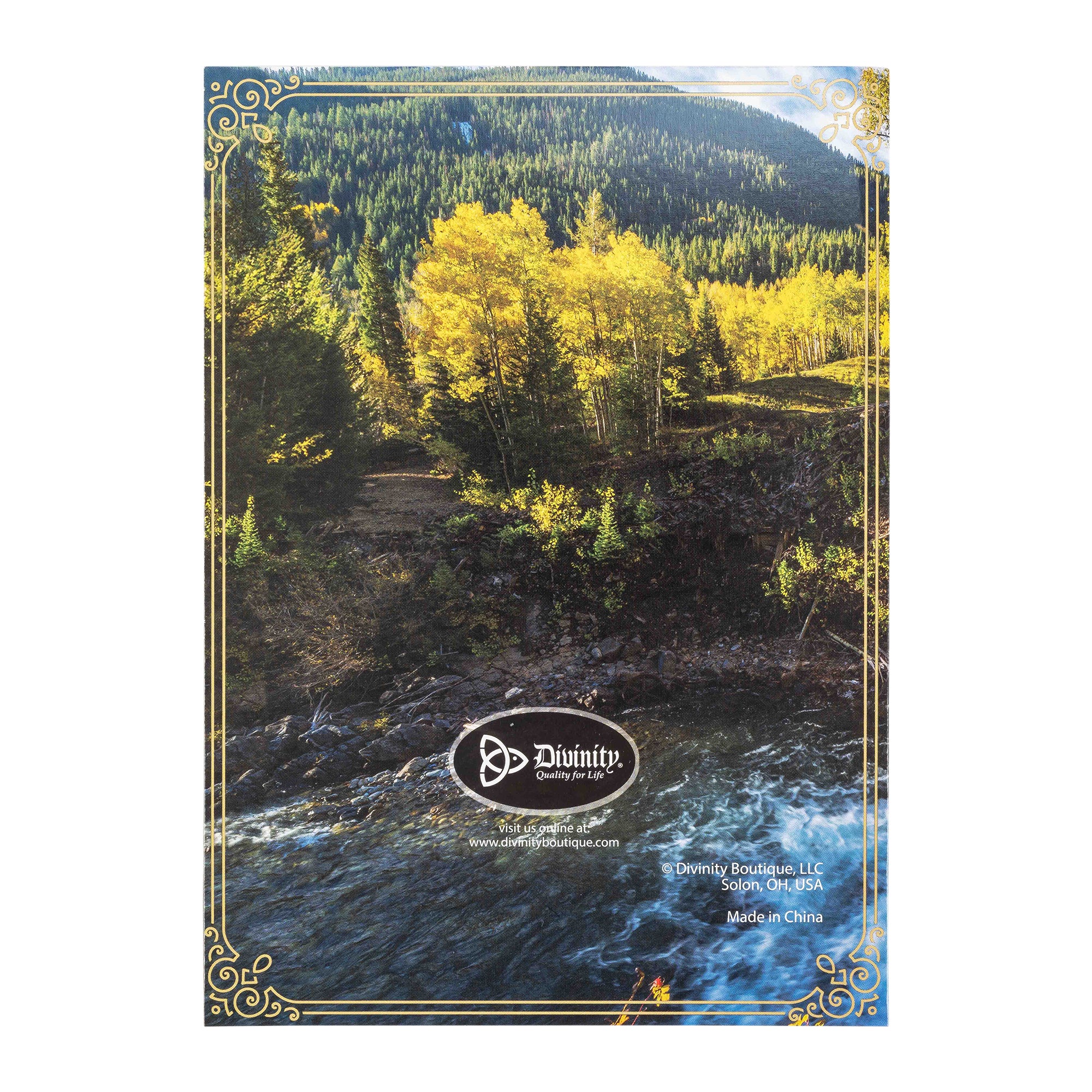Boxed Cards: Birthday For Him, Canoe, Elk, River and Field Assortment