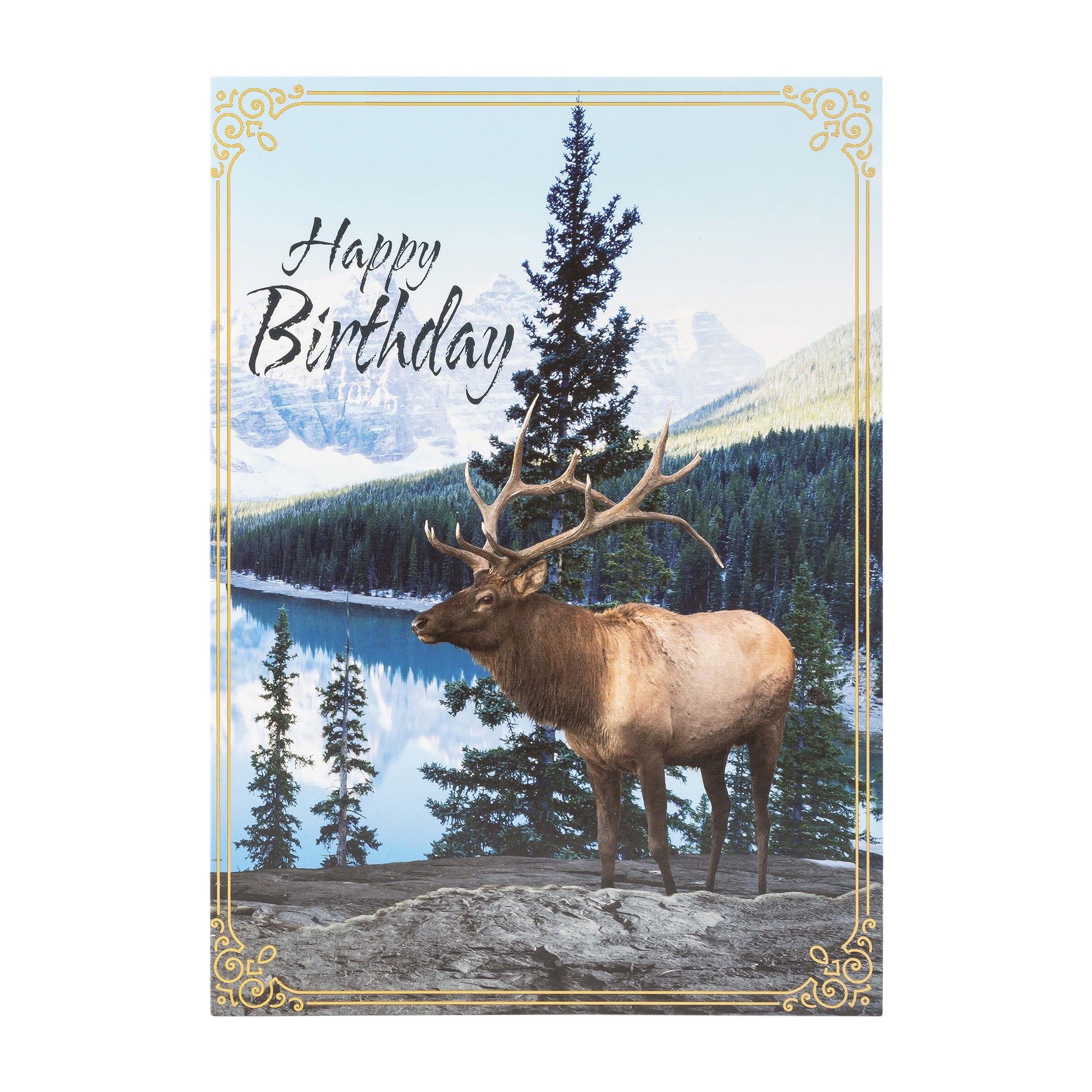 Boxed Cards: Birthday For Him, Canoe, Elk, River and Field Assortment