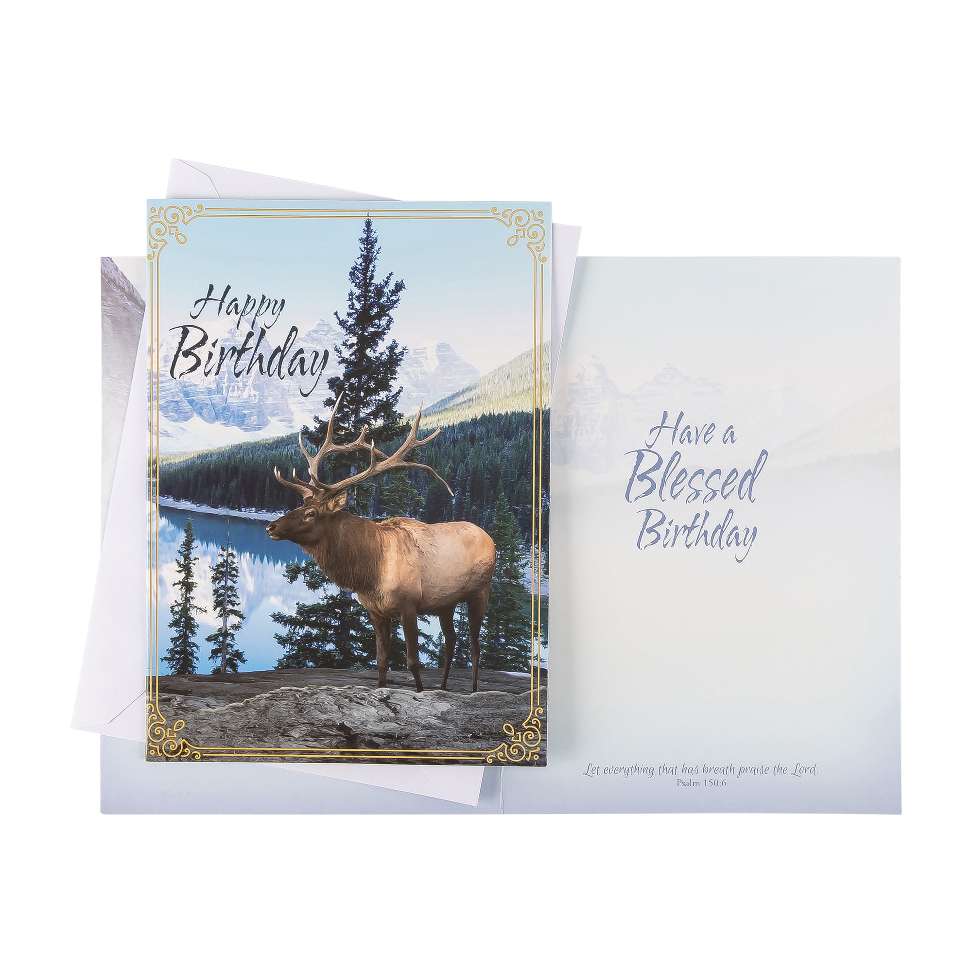 Boxed Cards: Birthday For Him, Canoe, Elk, River and Field Assortment