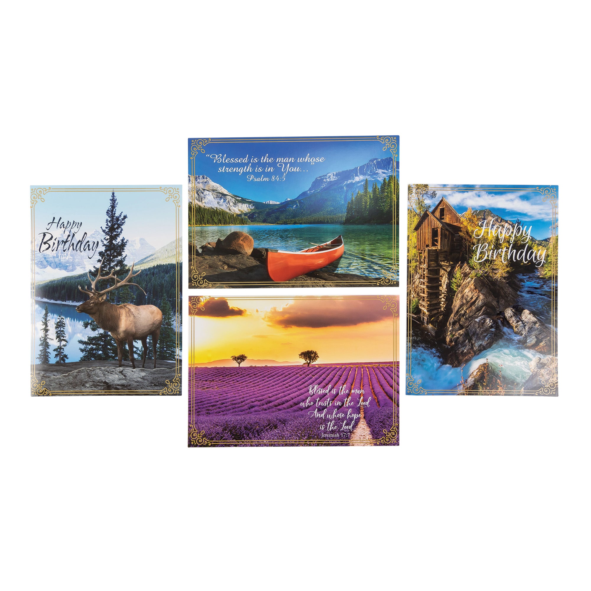 Boxed Cards: Birthday For Him, Canoe, Elk, River and Field Assortment