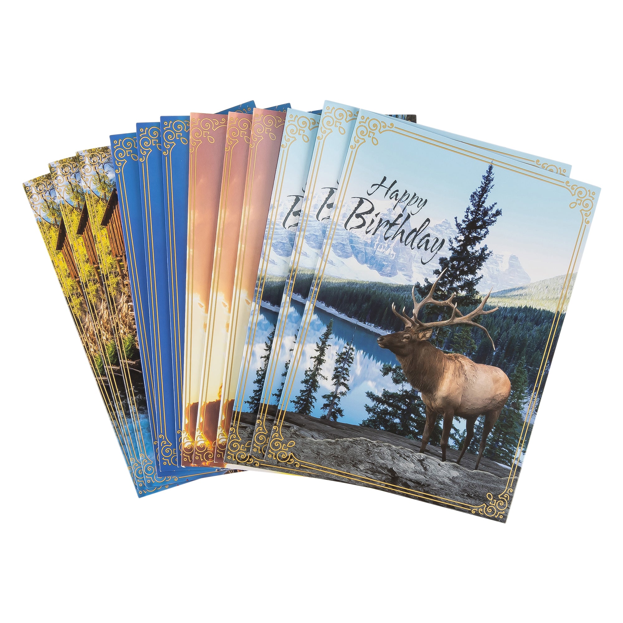 Boxed Cards: Birthday For Him, Canoe, Elk, River and Field Assortment