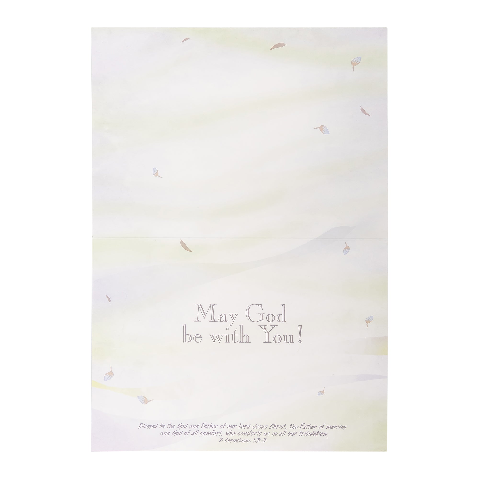 Boxed Cards: Sympathy, Trendy Watercolor Grass