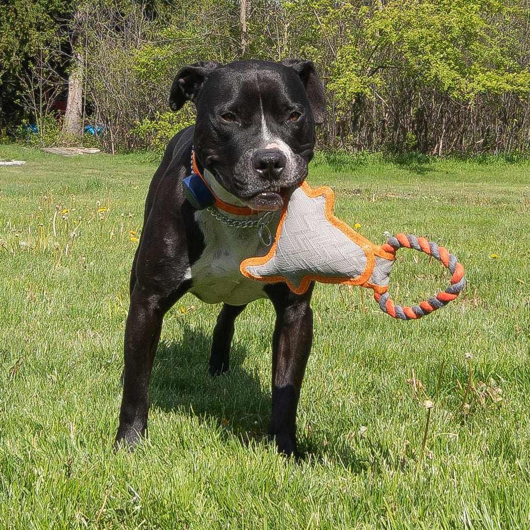 Mad Dog Toys for the Mad Man's Best Friend