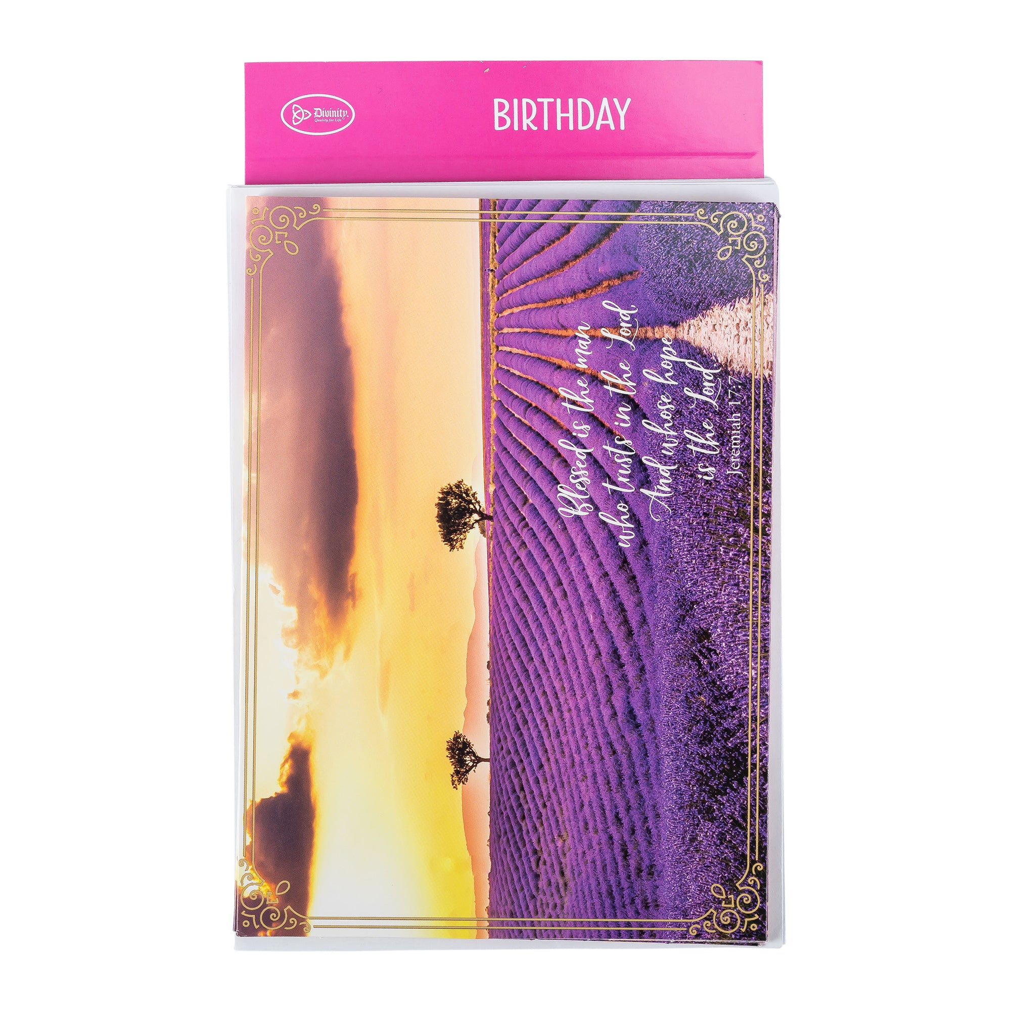Single Cards: Birthday, Fields, Gods Blessings on Your Birthday (Set of 6)