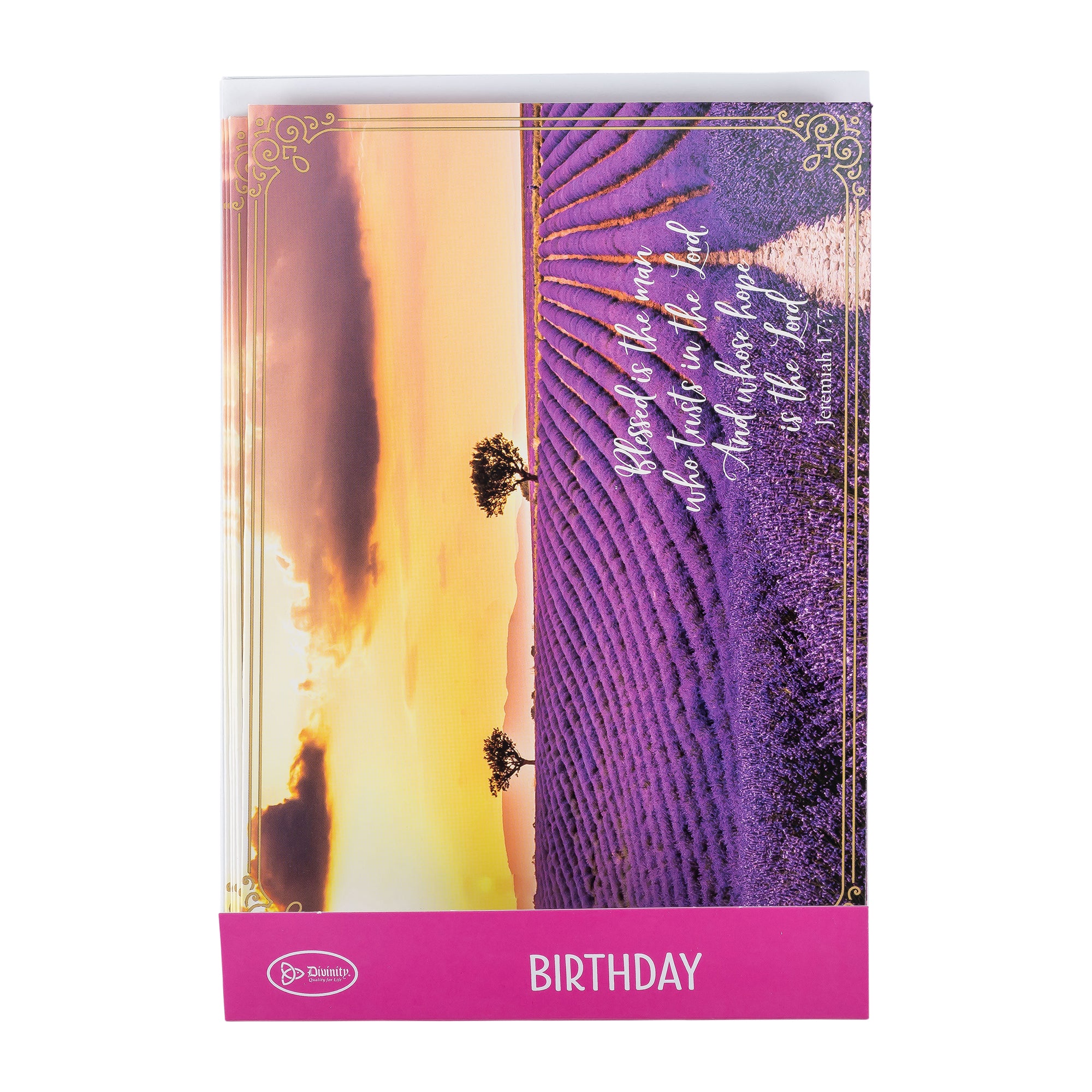 Single Cards: Birthday, Fields, Gods Blessings on Your Birthday (Set of 6)