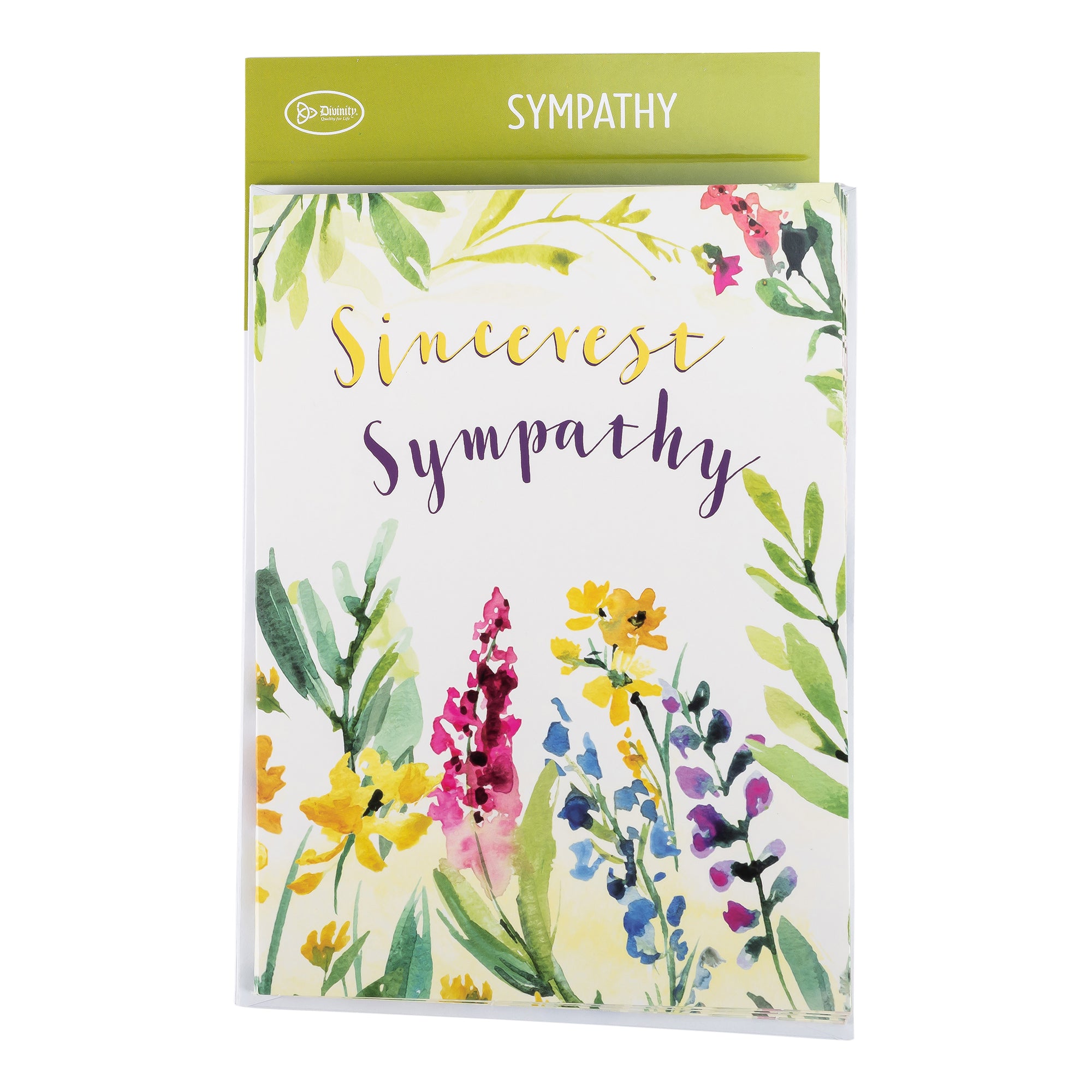 Single Cards: Sympathy Watercolor Psalm 69:29 (Set of 6)