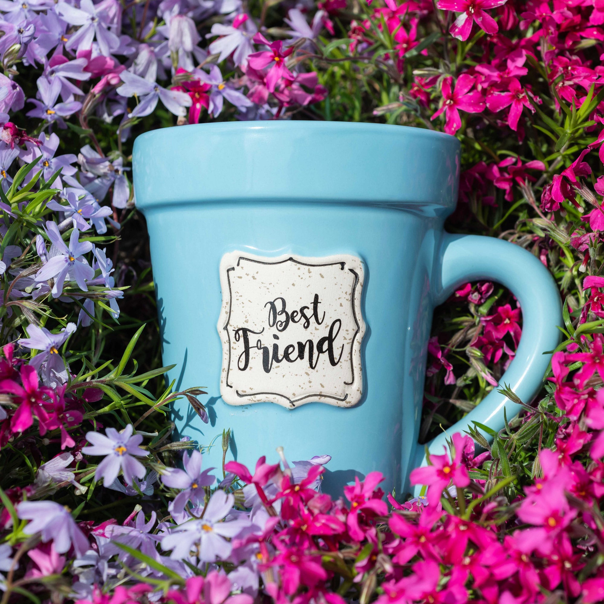 Blue Flower Pot Mug w/Scripture - "Best Friend"