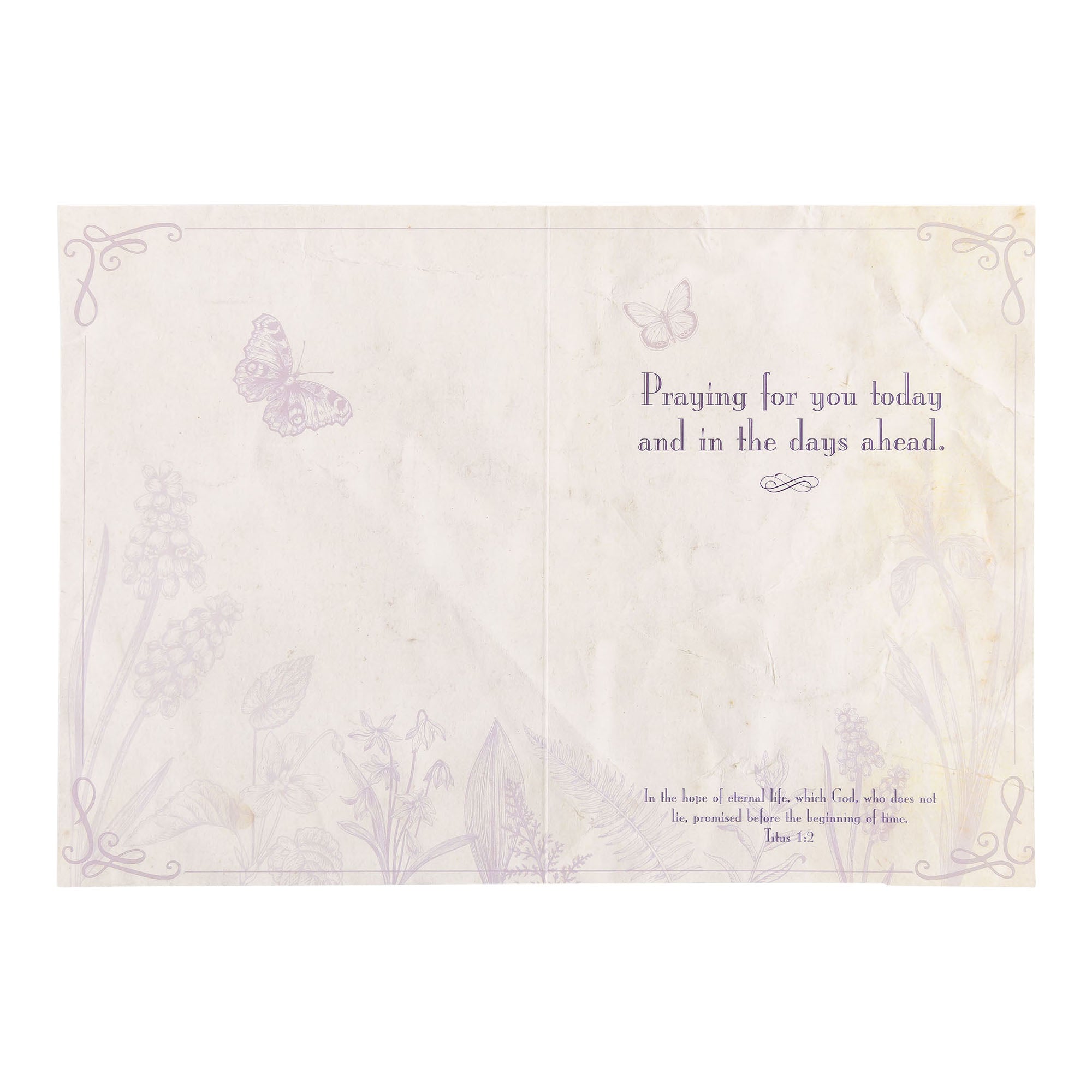 Single Cards - Sympathy - Floral Titus 1:2 (6 pk)