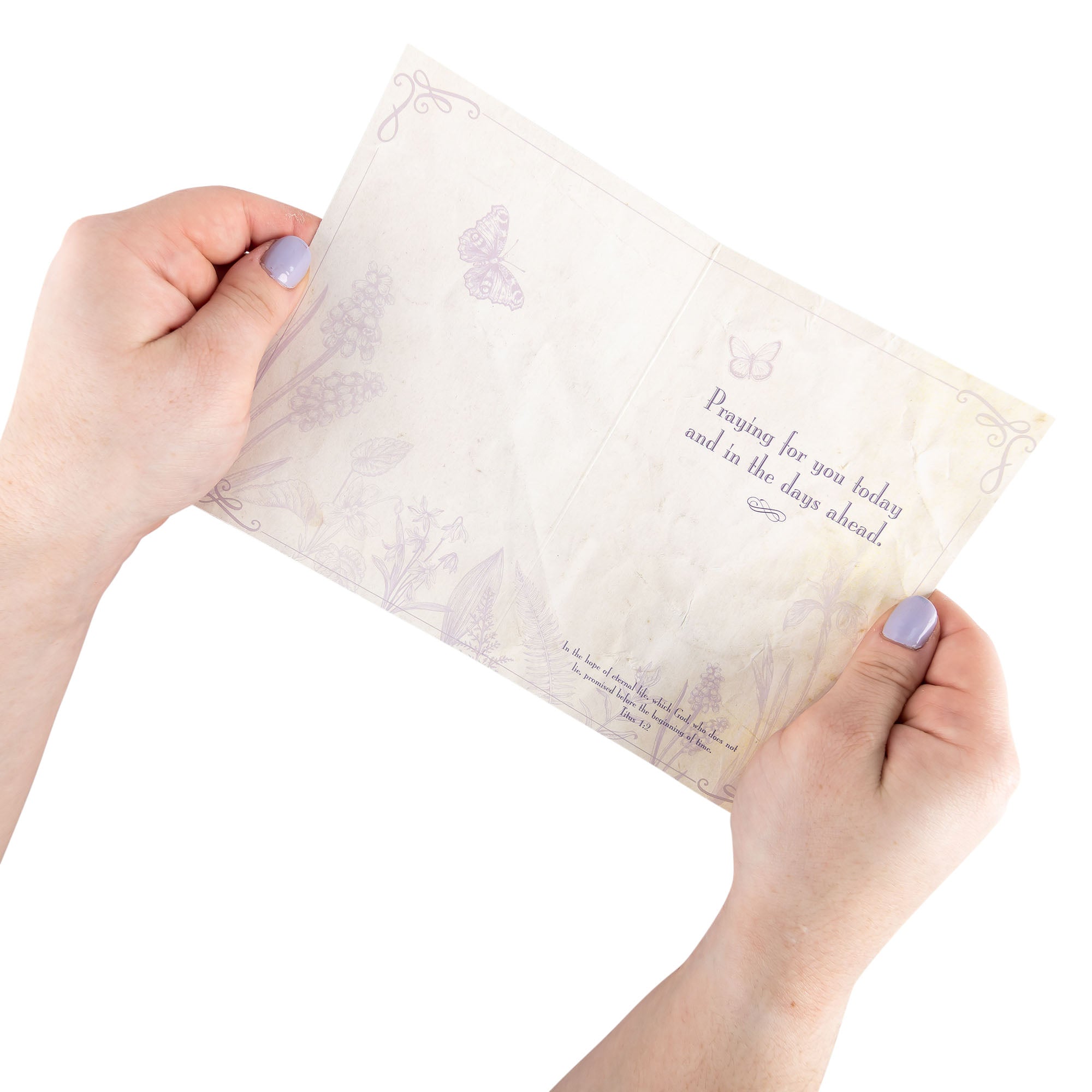 Single Cards - Sympathy - Floral Titus 1:2 (6 pk)